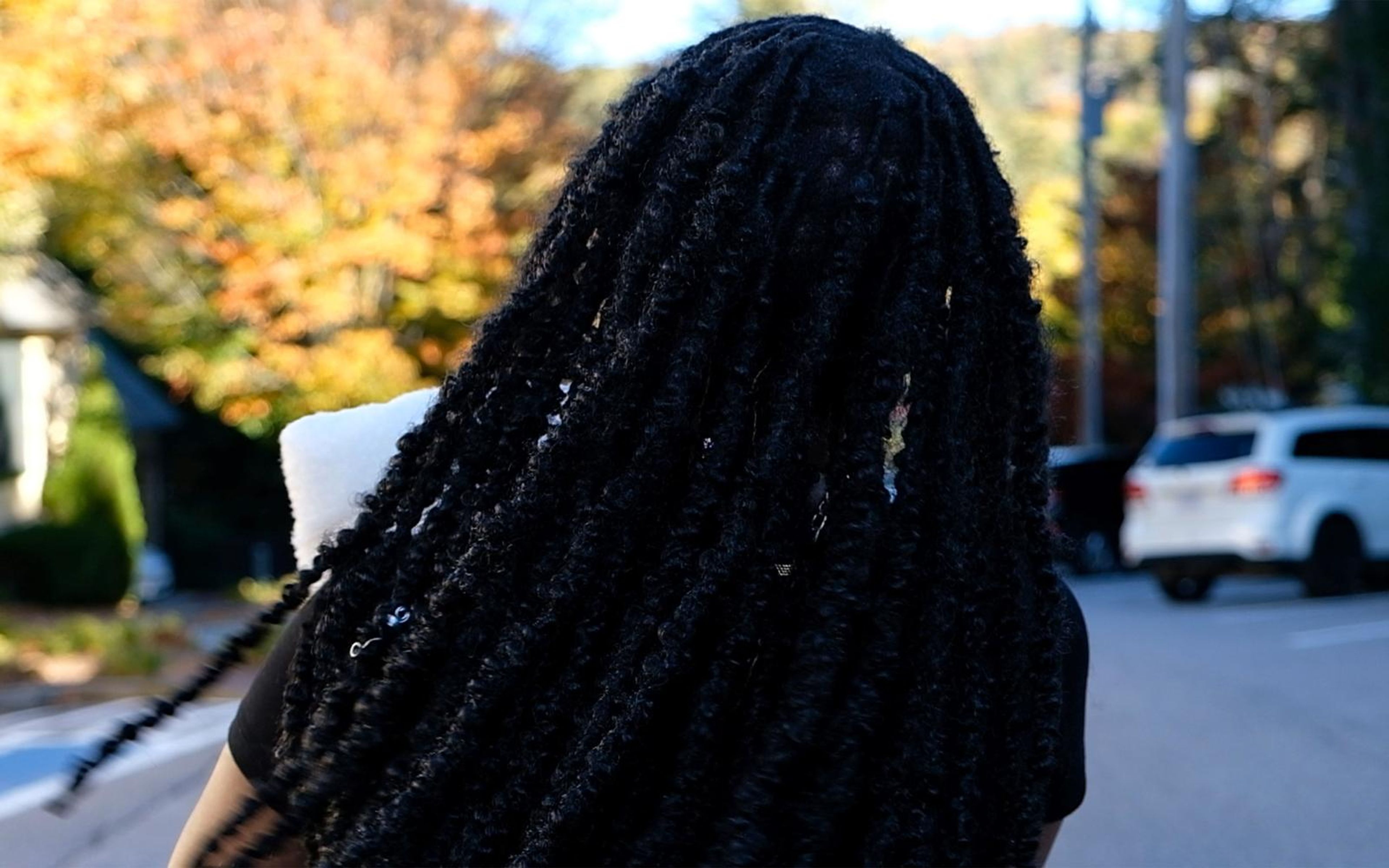 Model seen from behind with long braids falling down her back, autumn trees and a road