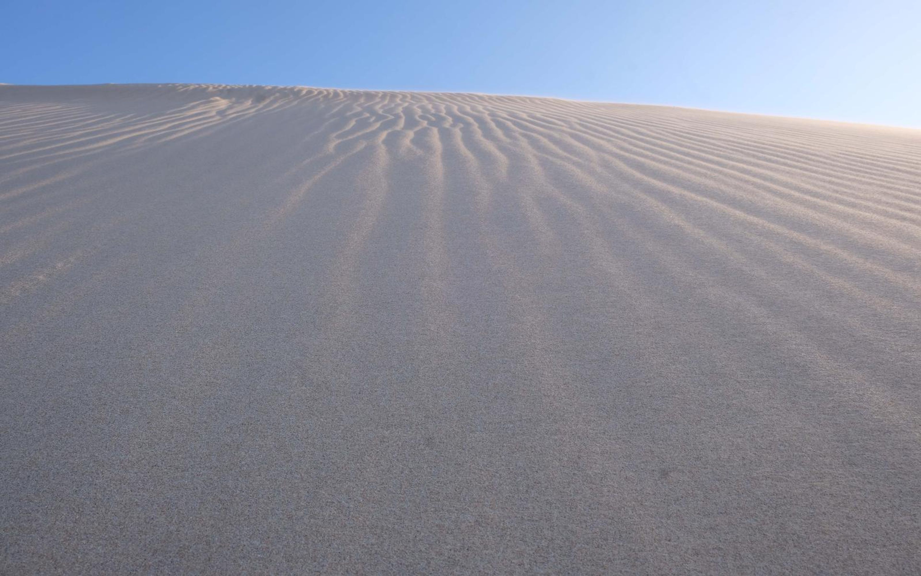 Long sand ripples converging toward a distant dune crest under a blue sky