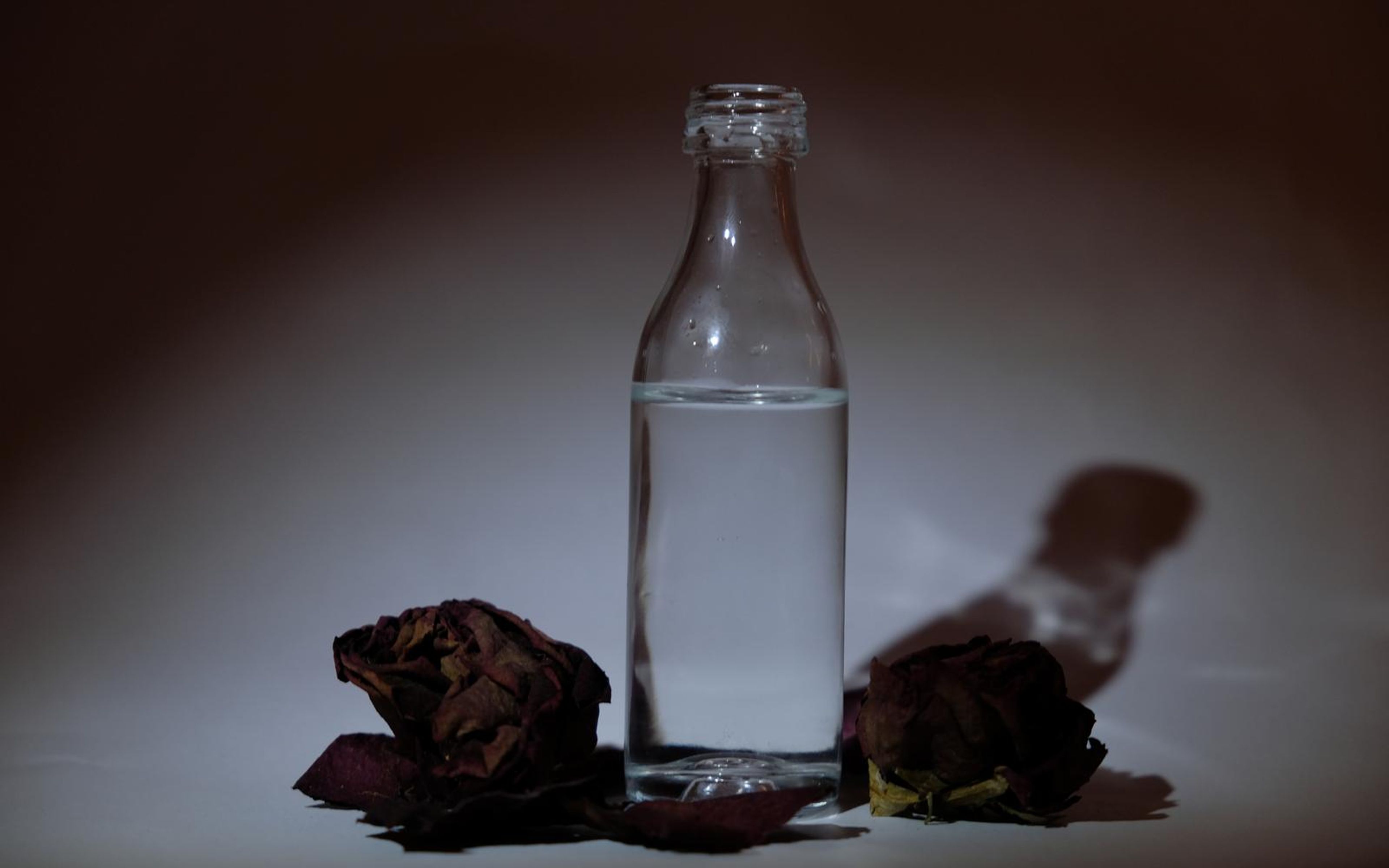 Clear glass bottle holding clear liquid beside dried roses on a pale backdrop with a long soft shadow