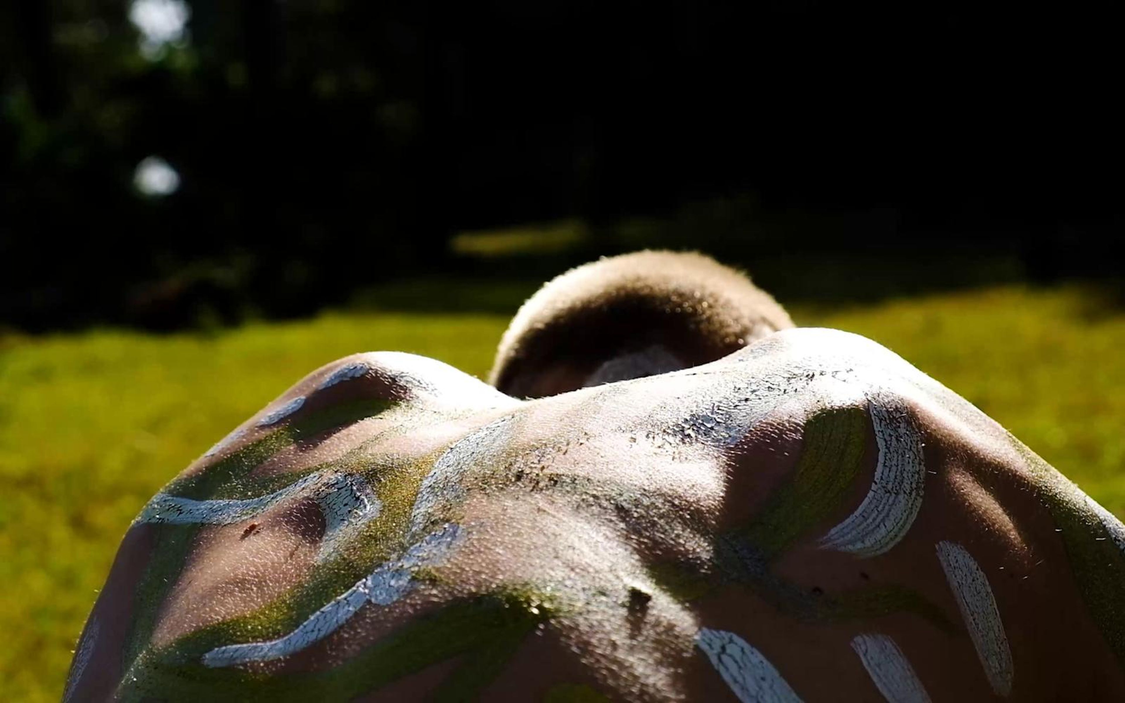 Close view of the performer's painted back and shoulder over a glowing lawn