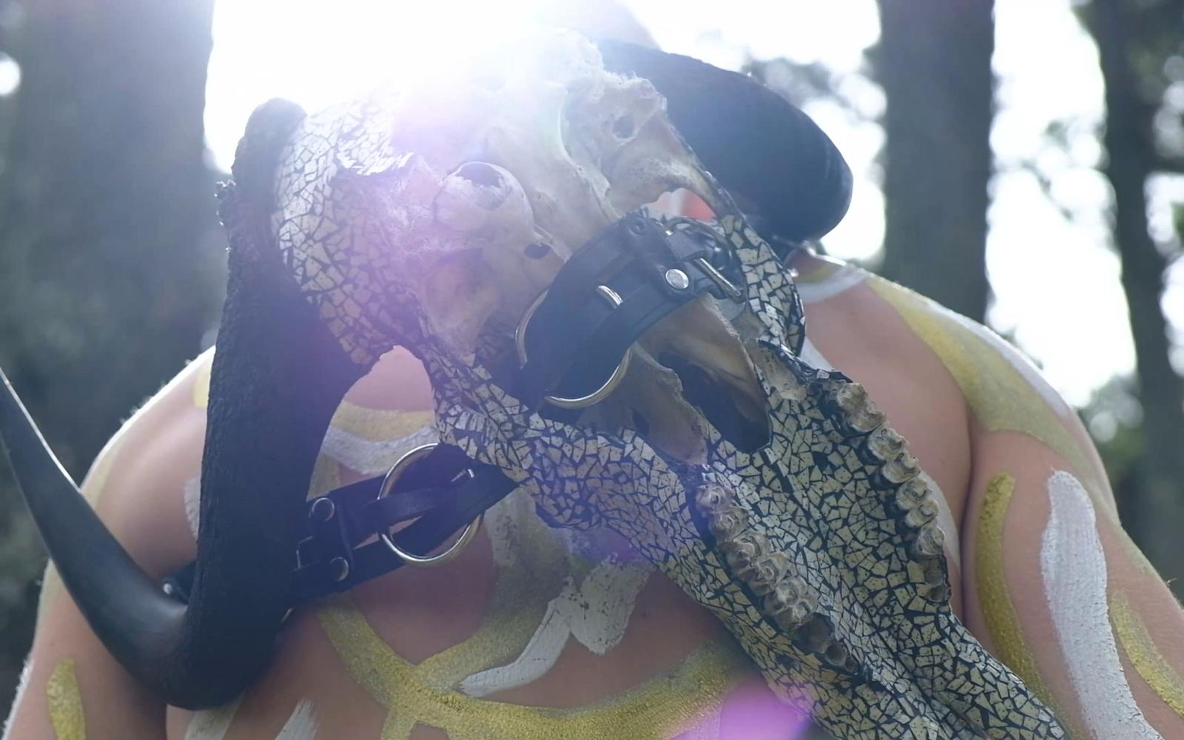 Performer in body paint holding a horned bull skull close to the camera with sun flare through pine trees