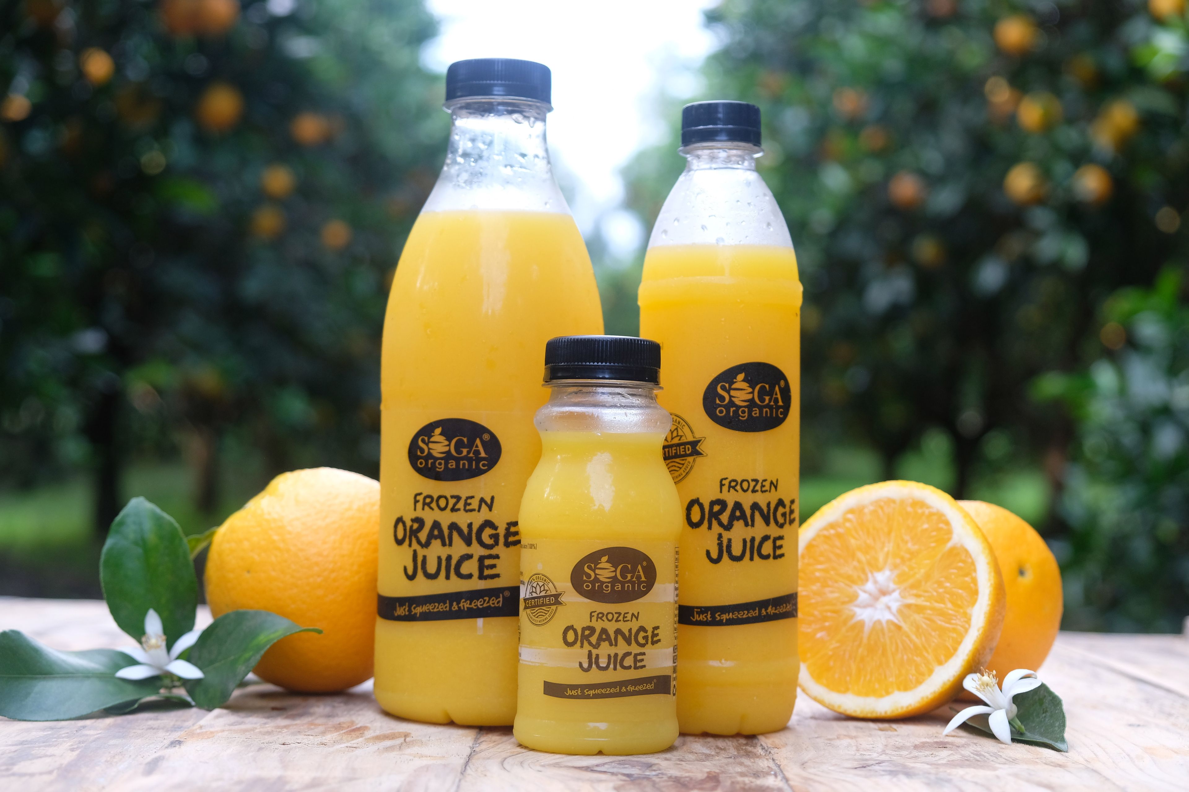 Soga Organic frozen orange juice bottles in three sizes with oranges and a blossom