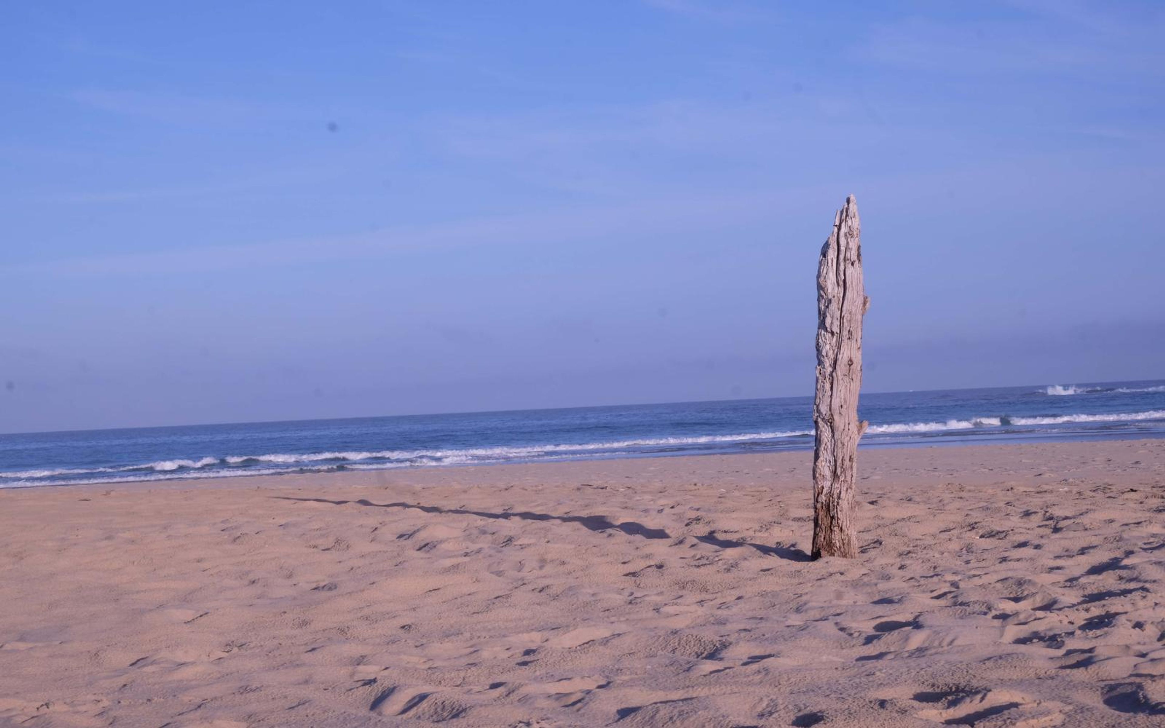 Tall driftwood post standing in beach sand with its shadow, blue sky and sea behind