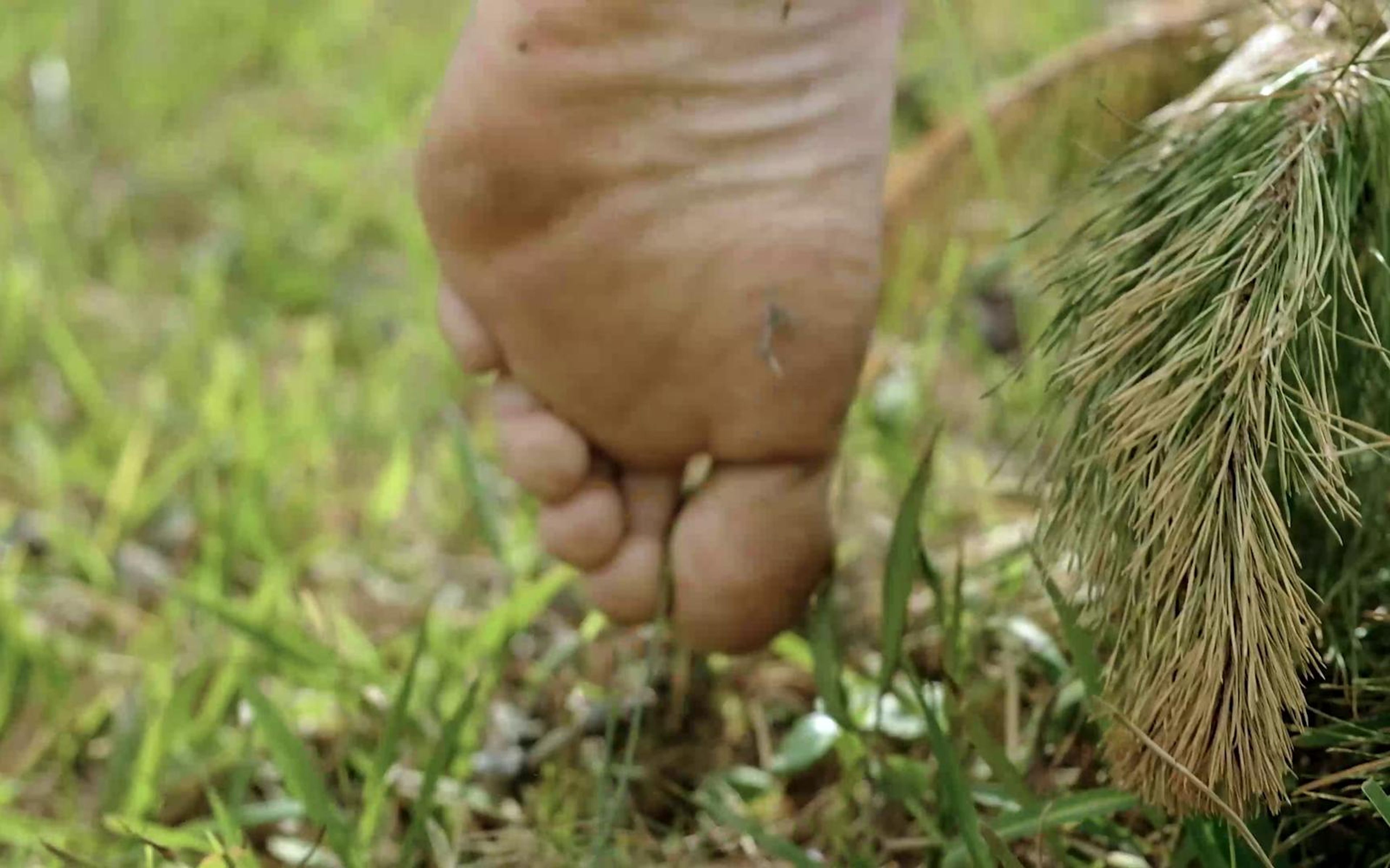 Sole of a bare foot lifting from the grass, seen from ground level