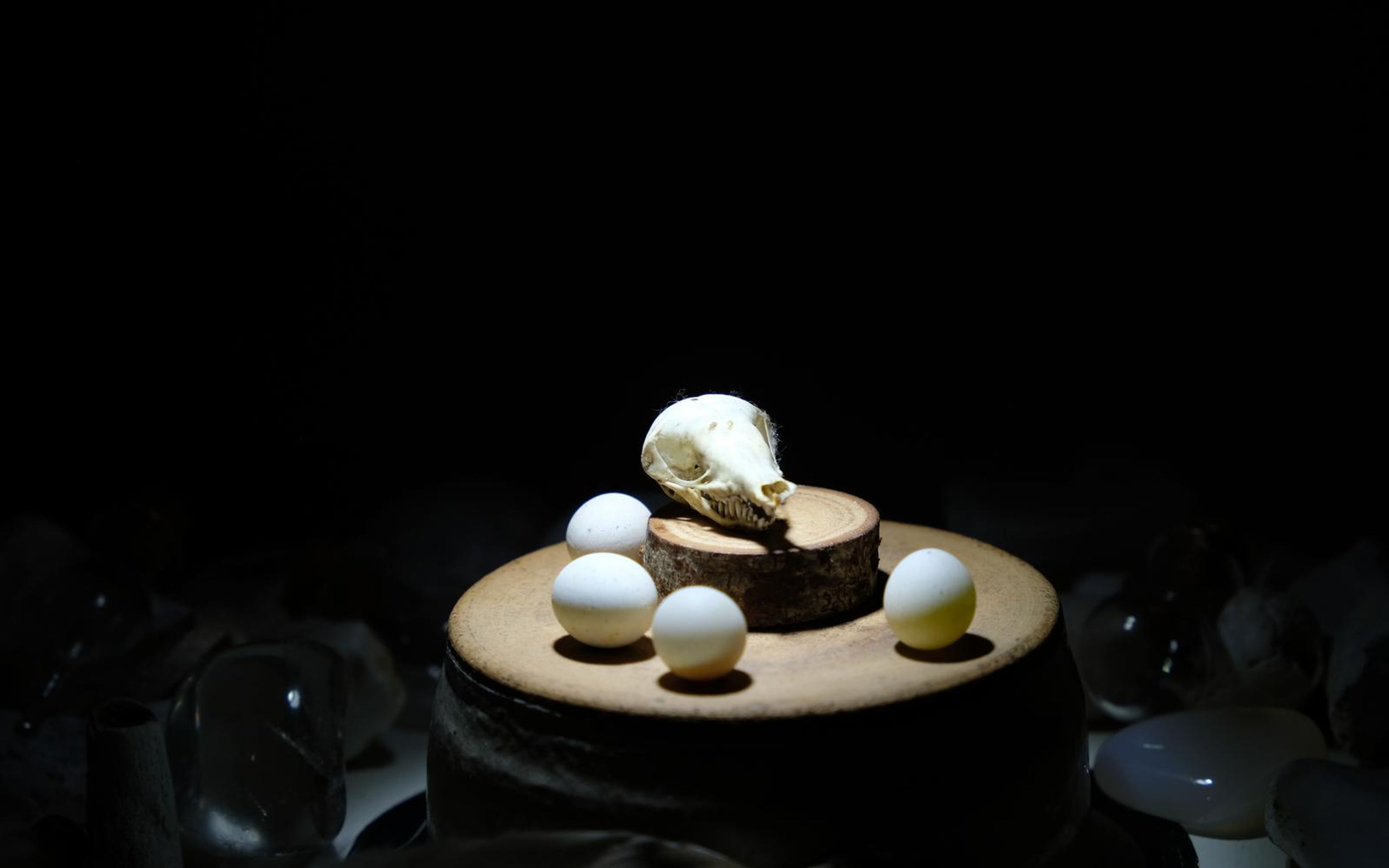 Close view of a small skull and white spheres on a wooden stand, spot-lit against black