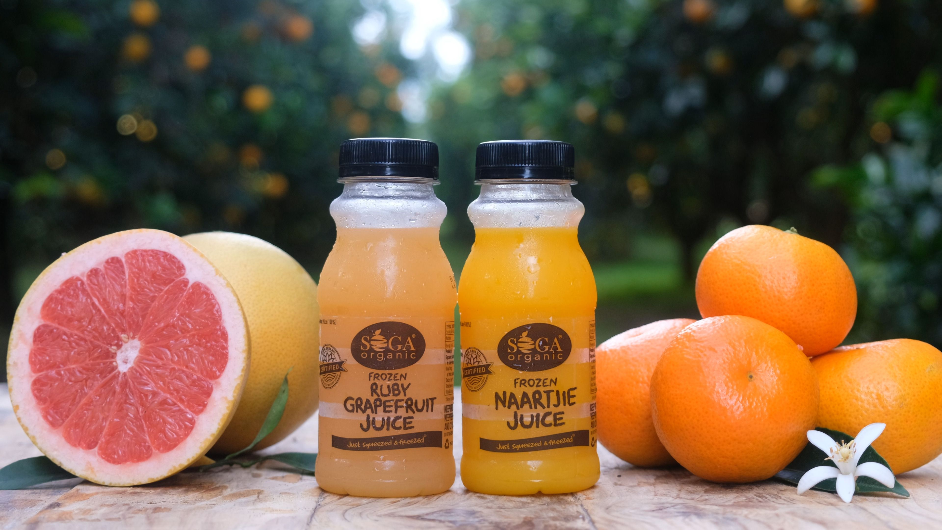 SOGA frozen ruby grapefruit and naartjie juice bottles with a halved grapefruit and naartjies