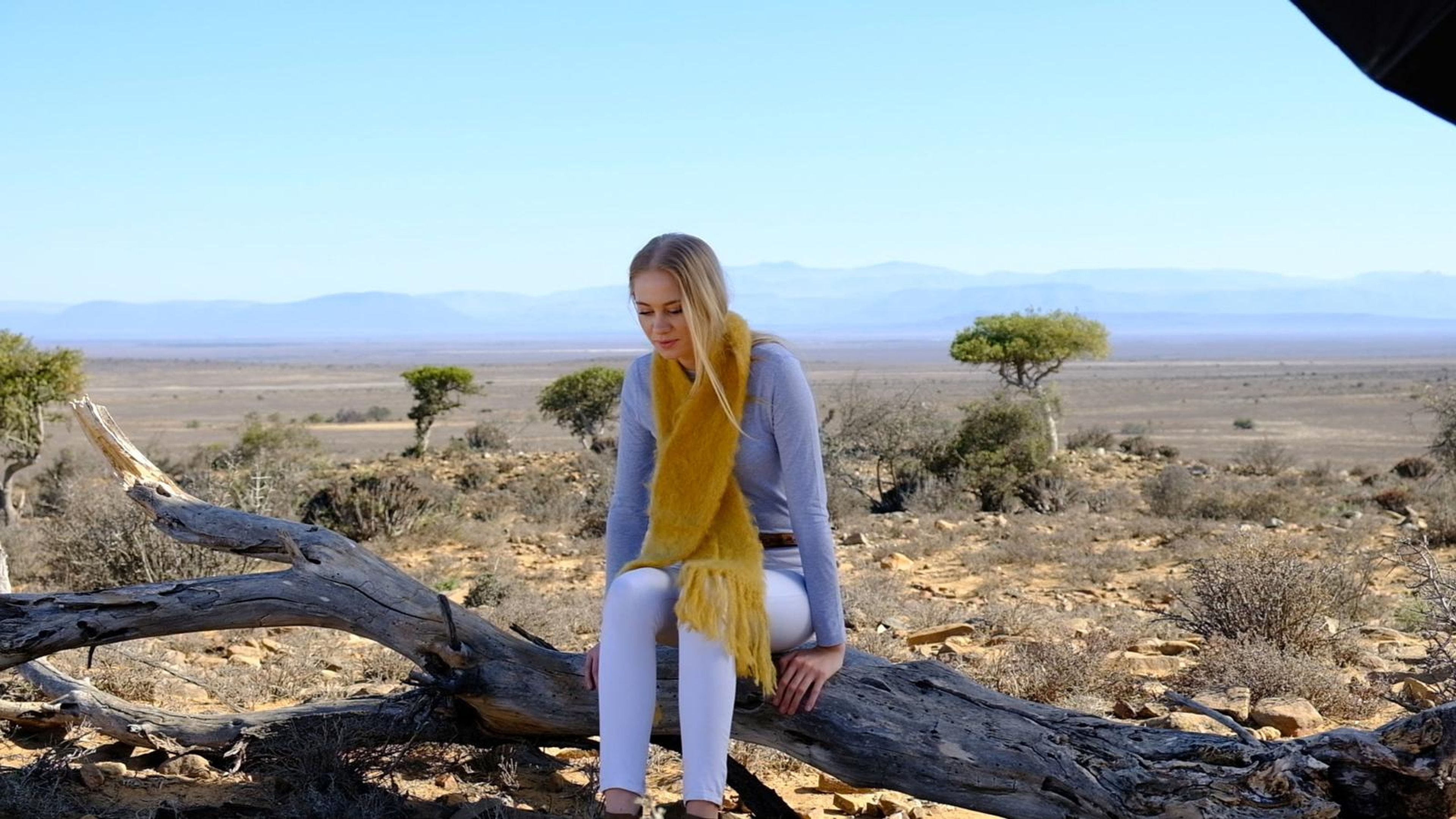 Model sitting on a fallen log in a mustard mohair scarf