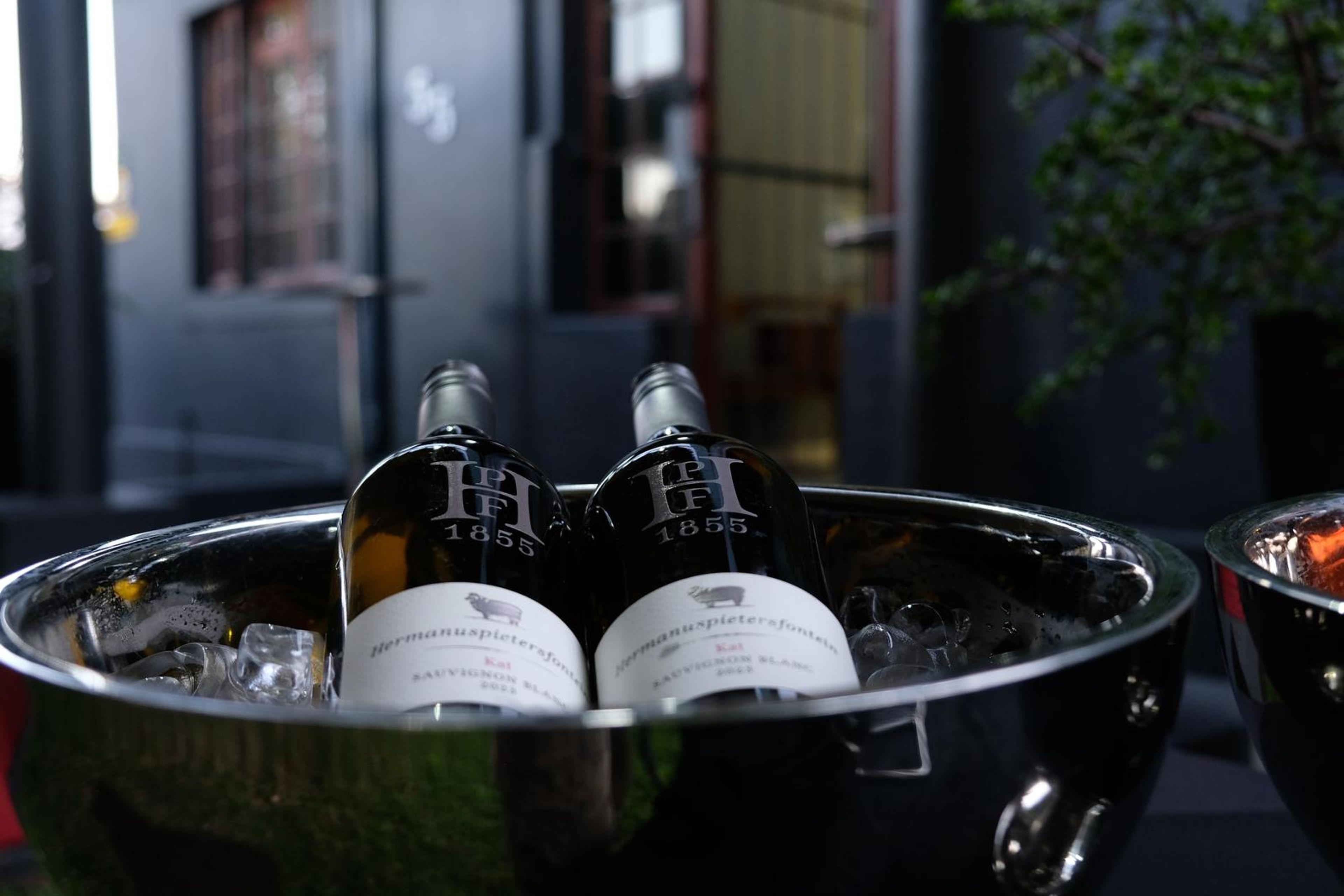 Two bottles of white wine in a silver ice bucket at the entrance to the opening