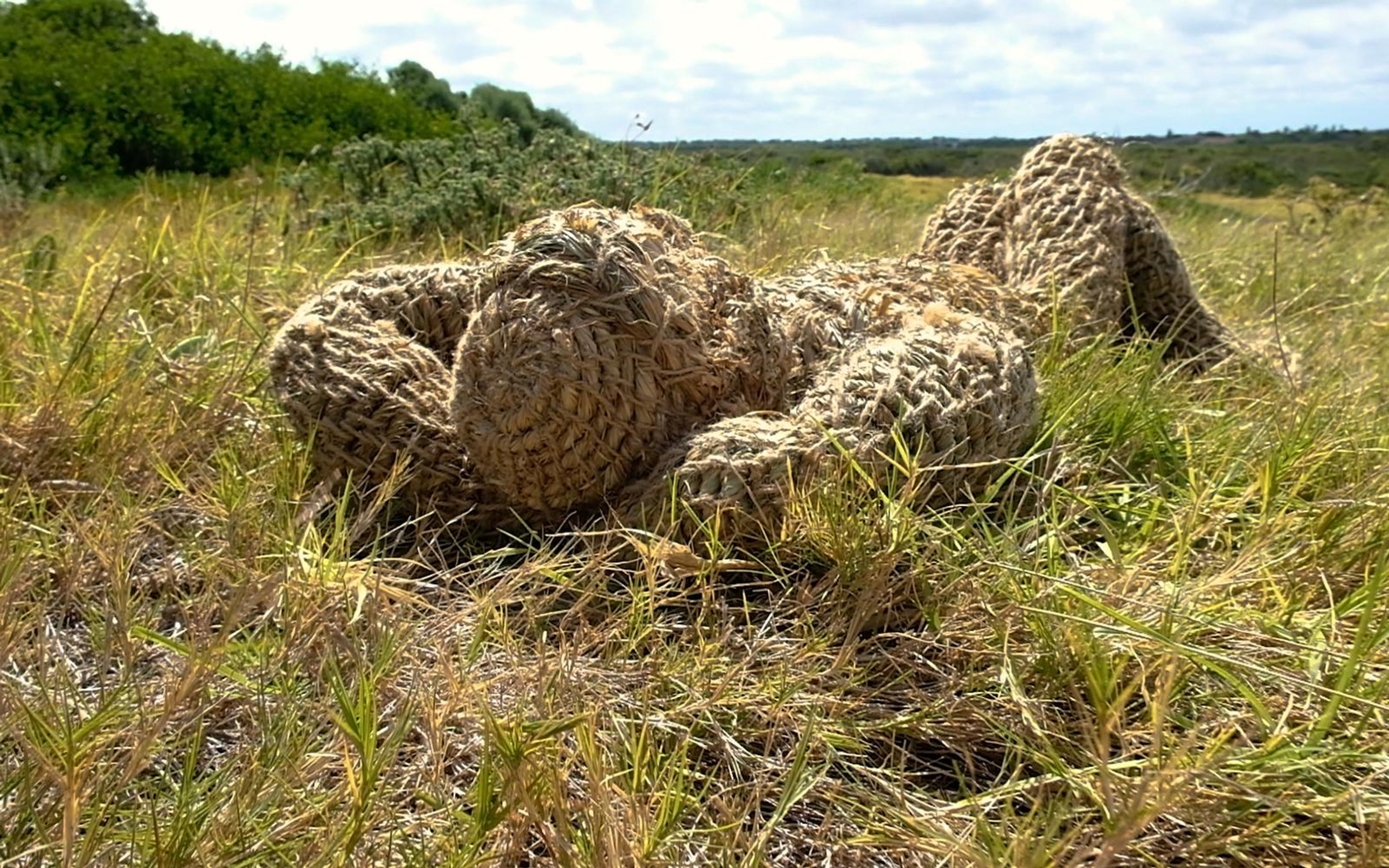 Woven grass figure curled on its side in a green and golden field