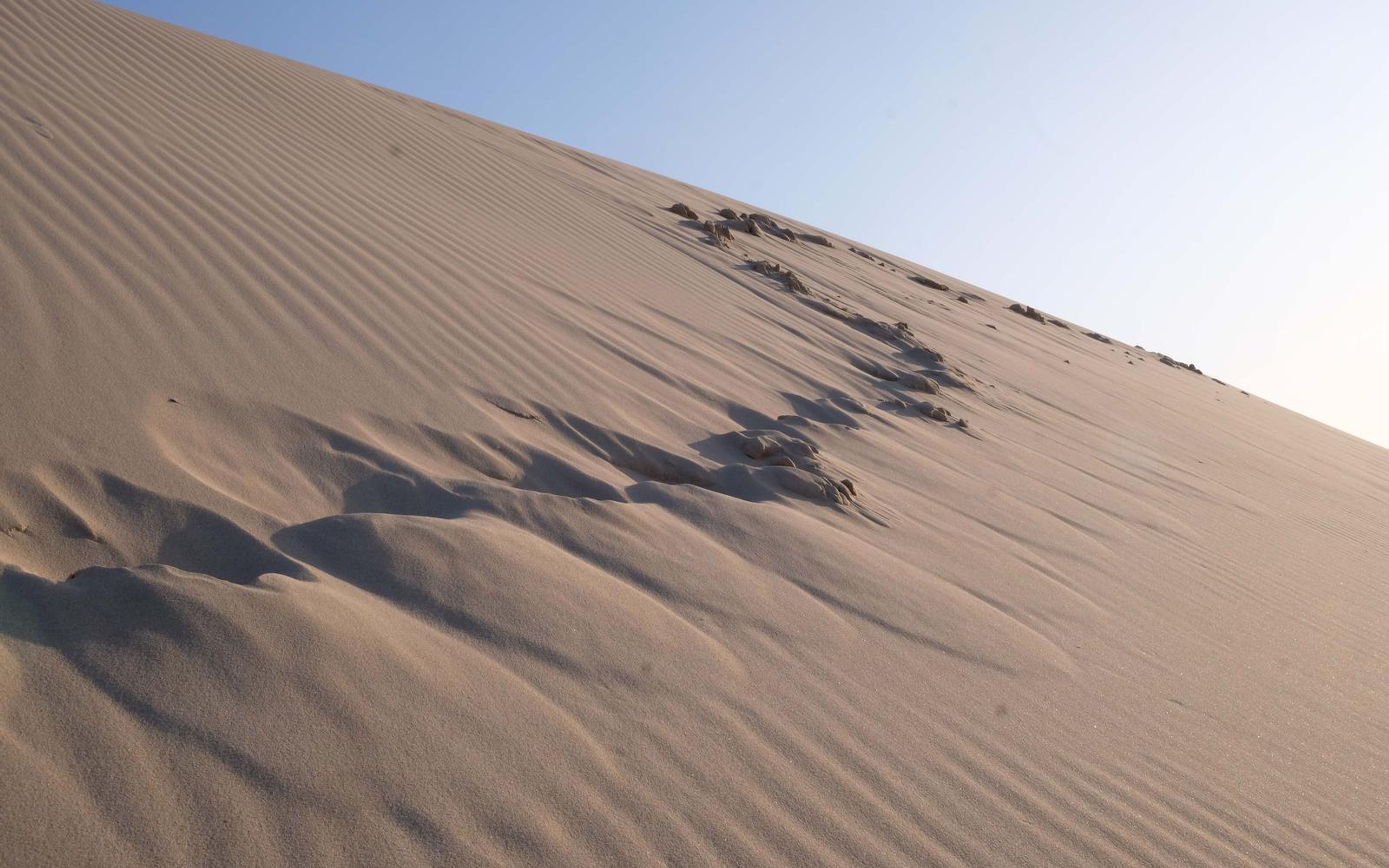 Dark line of washed-up debris zigzagging across a rippled dune slope in warm light