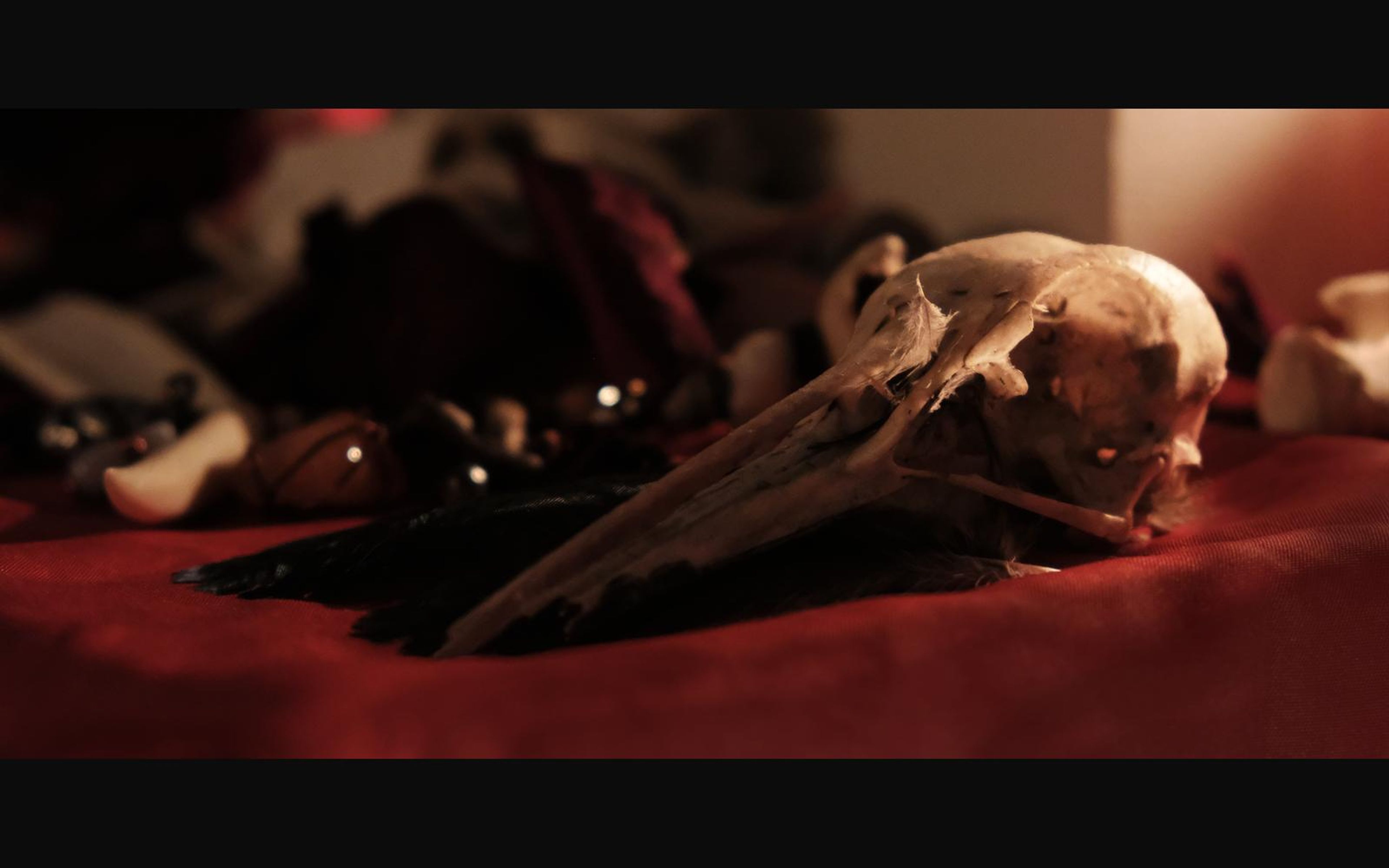 Bird skull with a long beak resting on red cloth among beads and bones