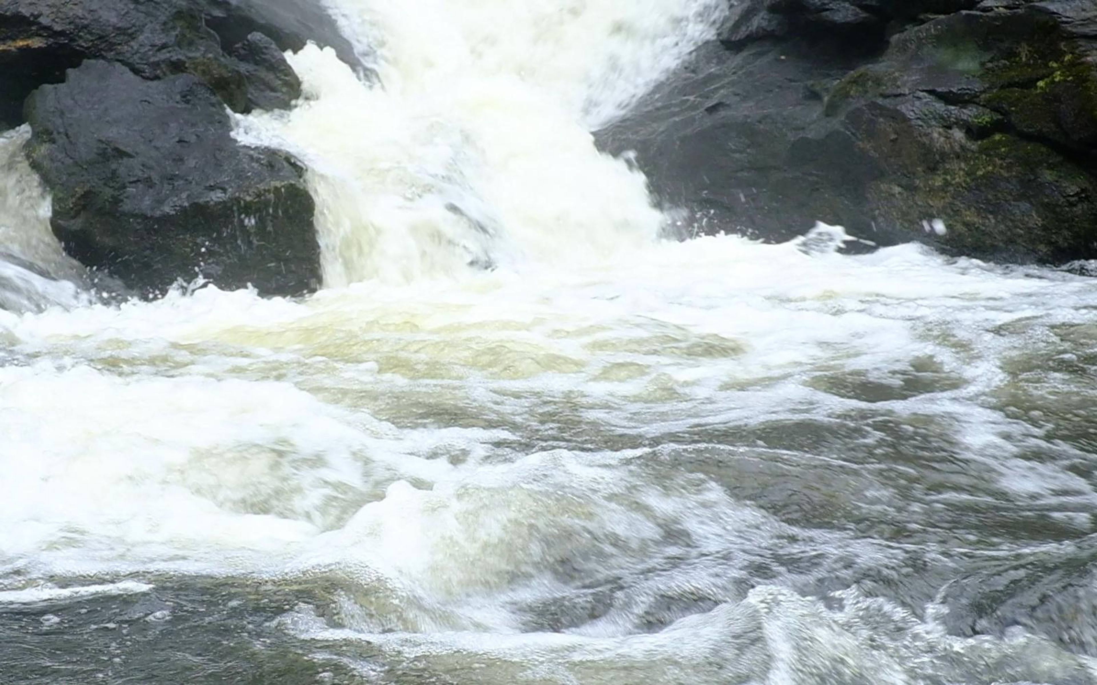 Churning white water breaking between dark rocks below the falls