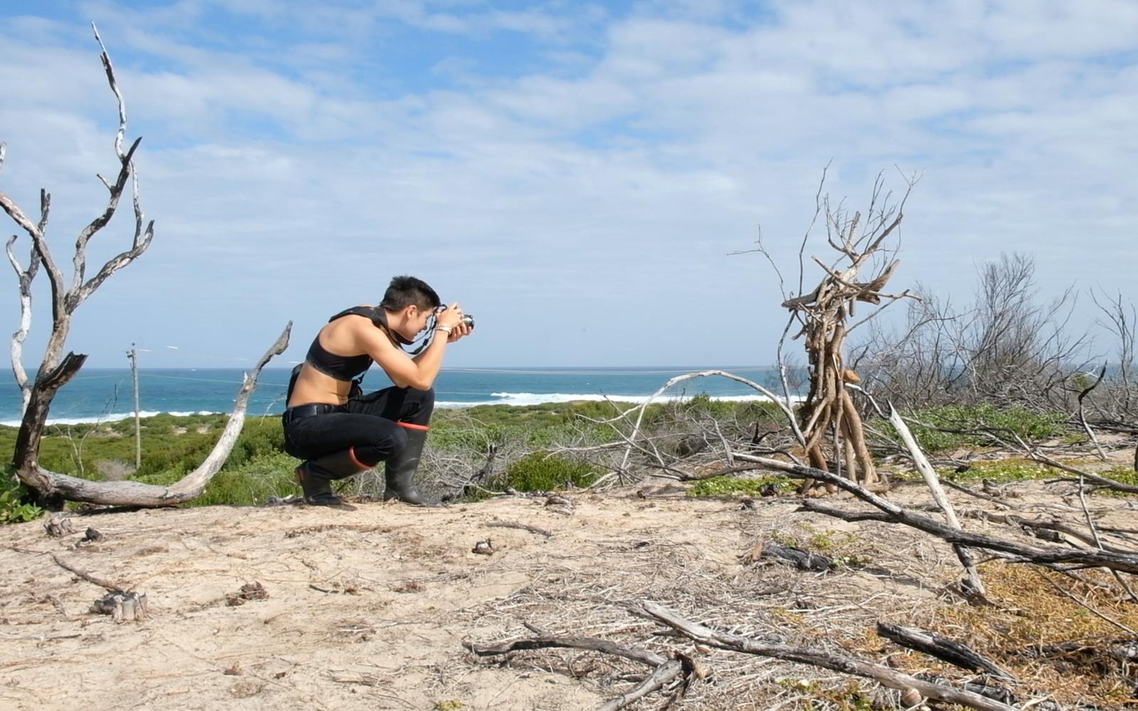Person kneeling low on dry sand to photograph a dead tree, sea in the distance