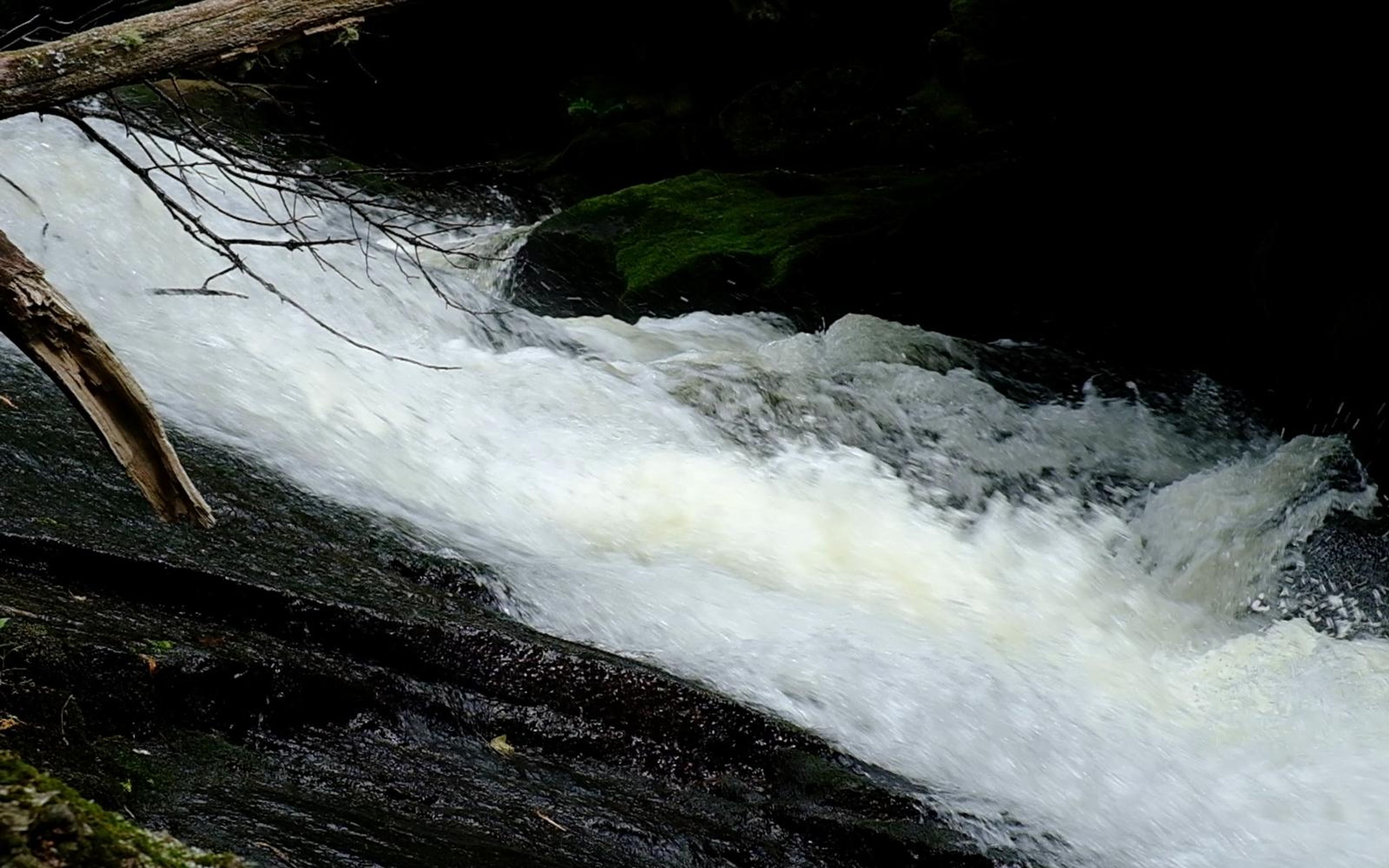 Fast cascade on a sloped rock with a fallen limb and moss on the left