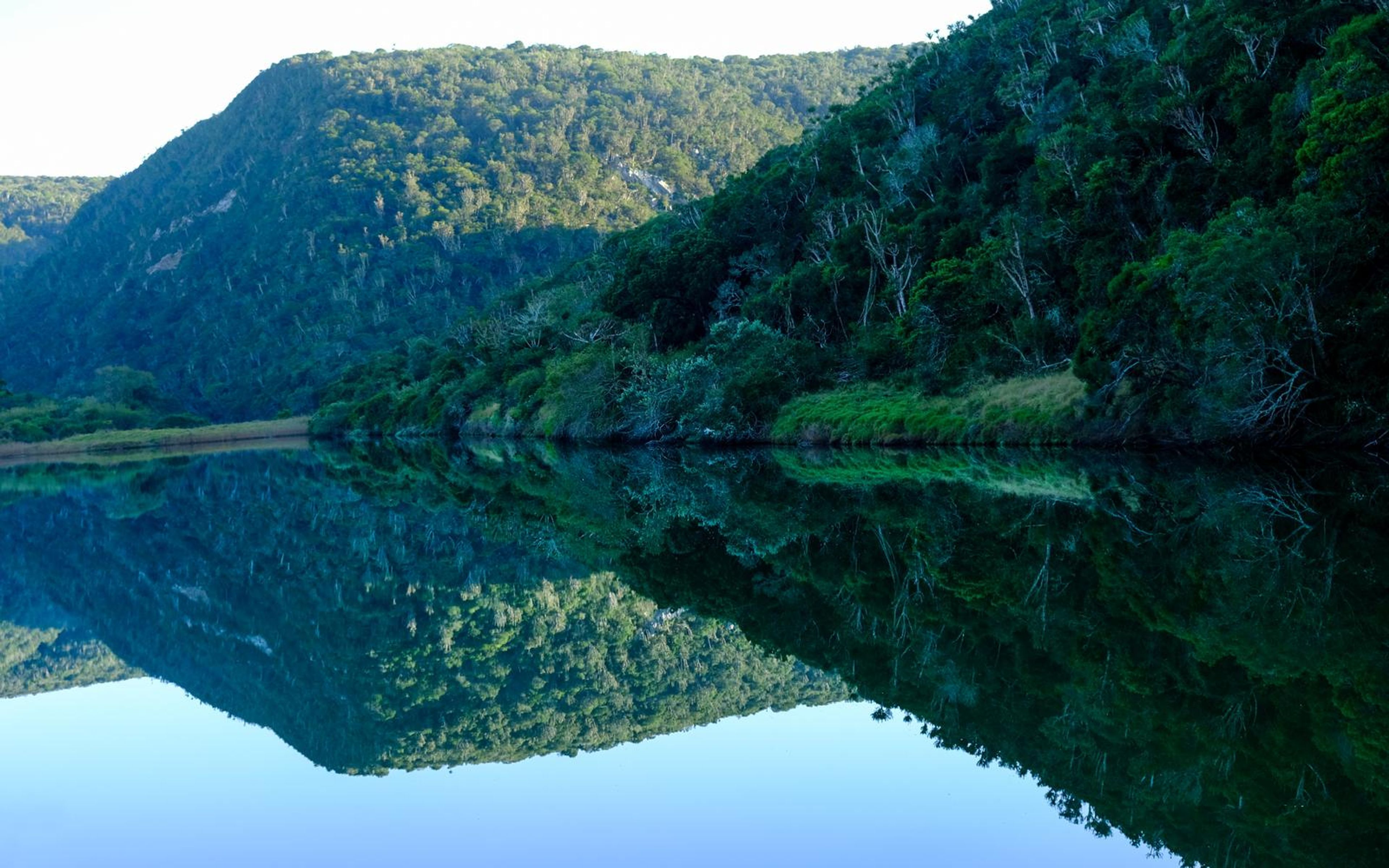 Still water mirroring a steep wooded hillside under a clear pale sky