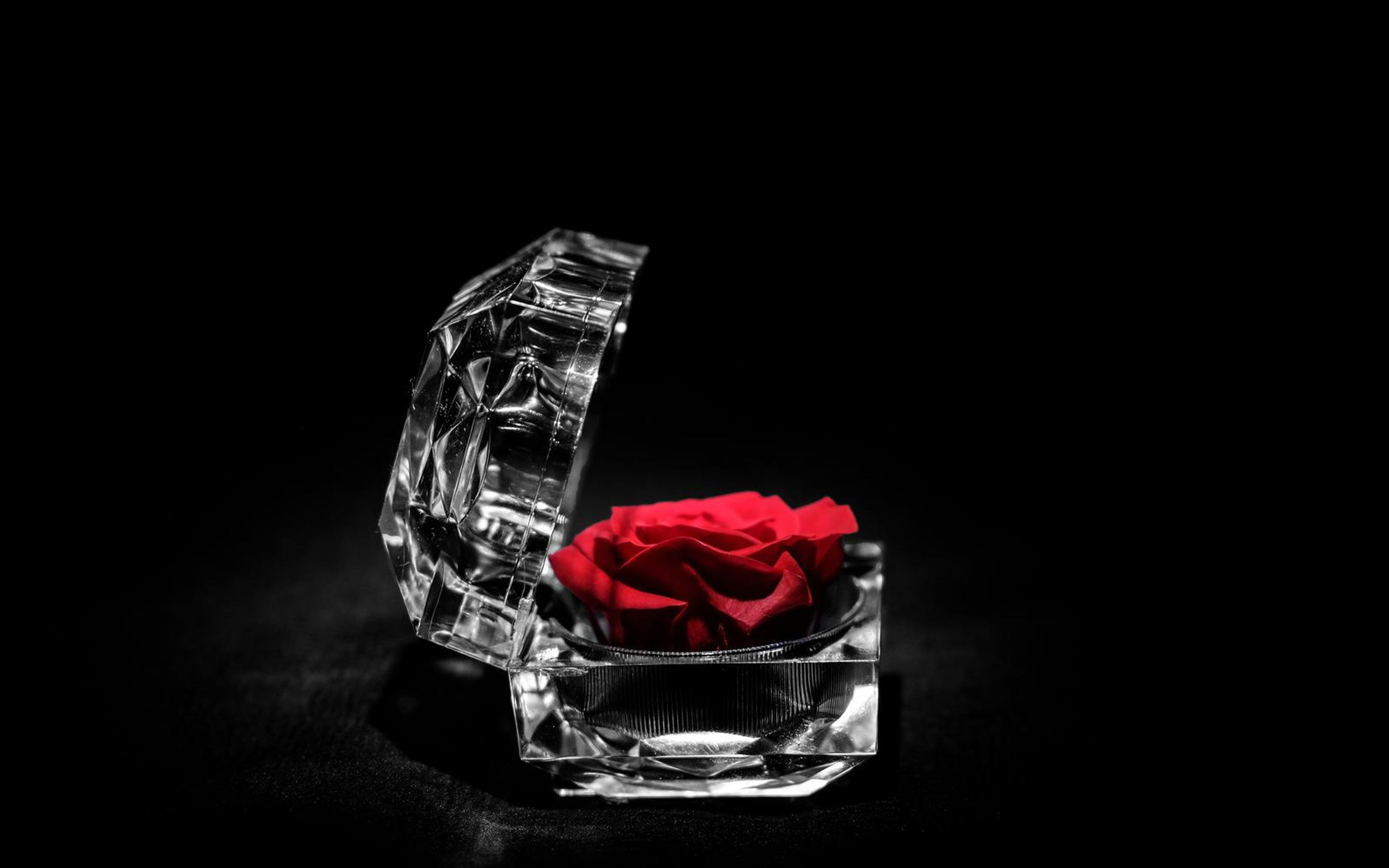 Red rose in a faceted case with its lid propped open, neutral light and soft reflections on a dark floor