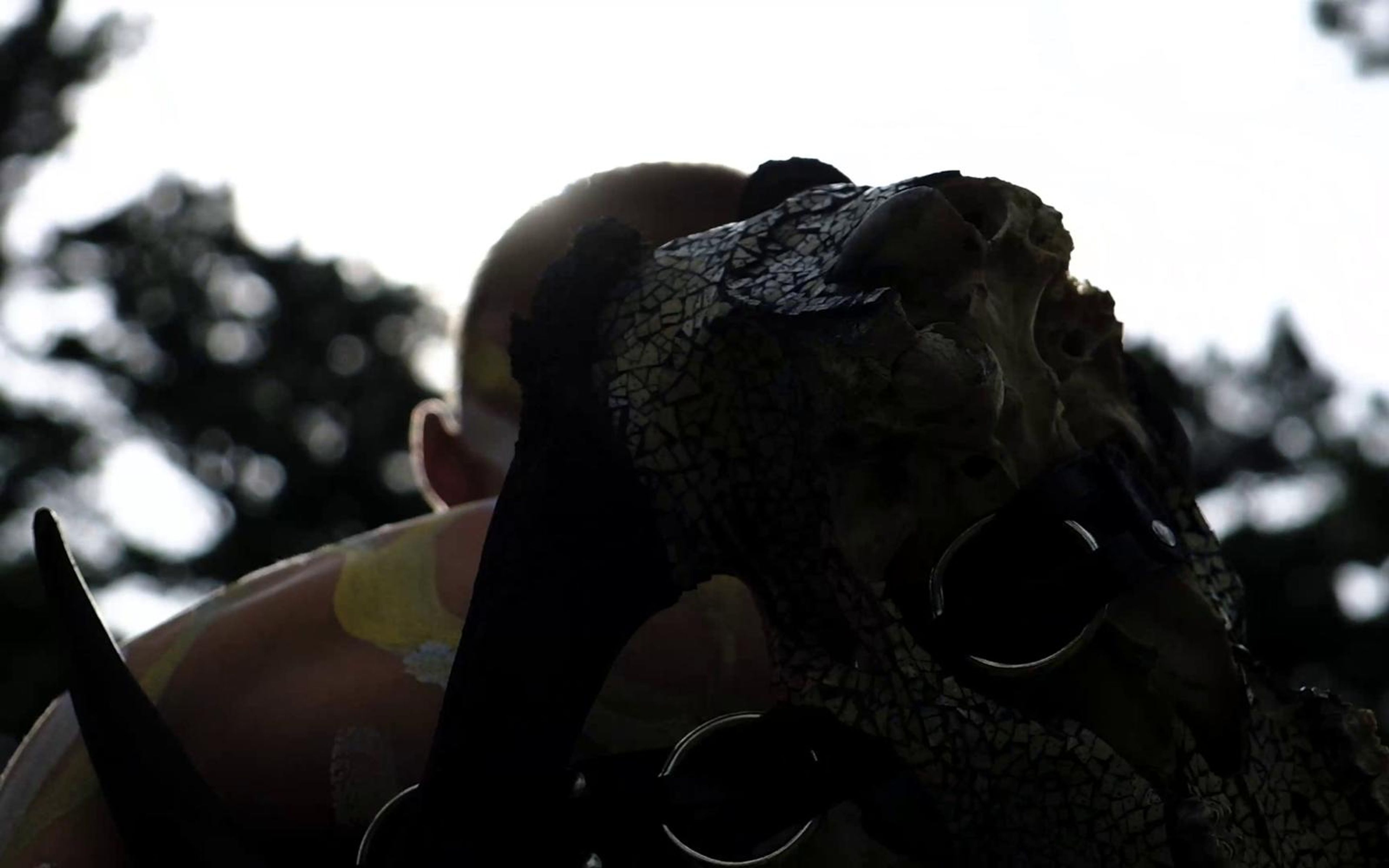 Dark horned skull held against the performer's chest with pines overhead
