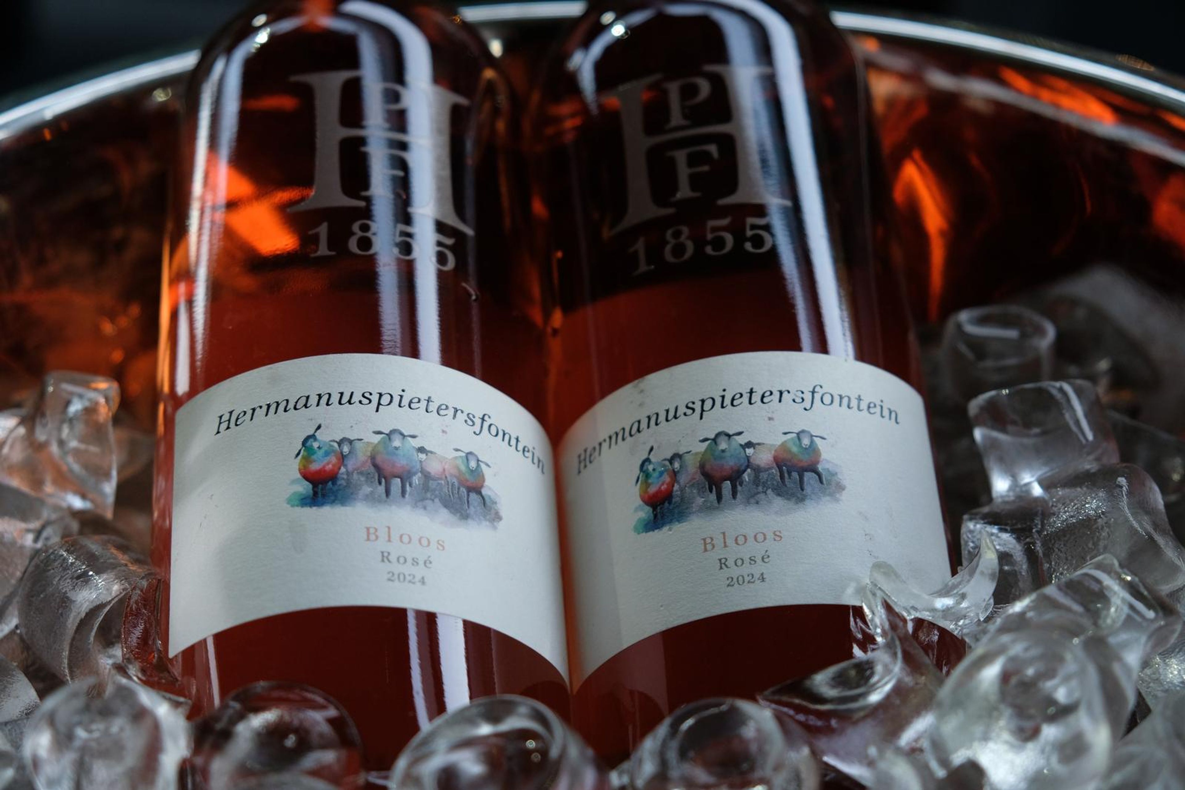 Two bottles of Hermanuspietersfontein rose in an ice bucket