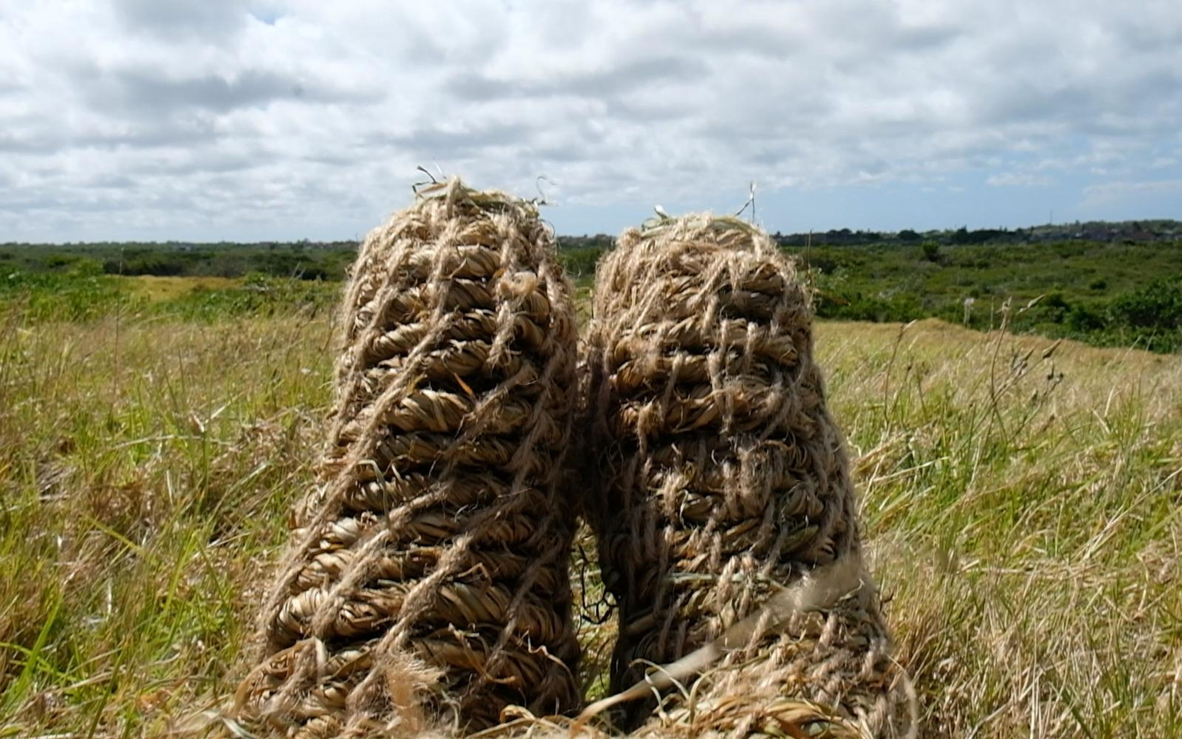 Two upright woven grass forms like legs against a cloudy sky and distant green land