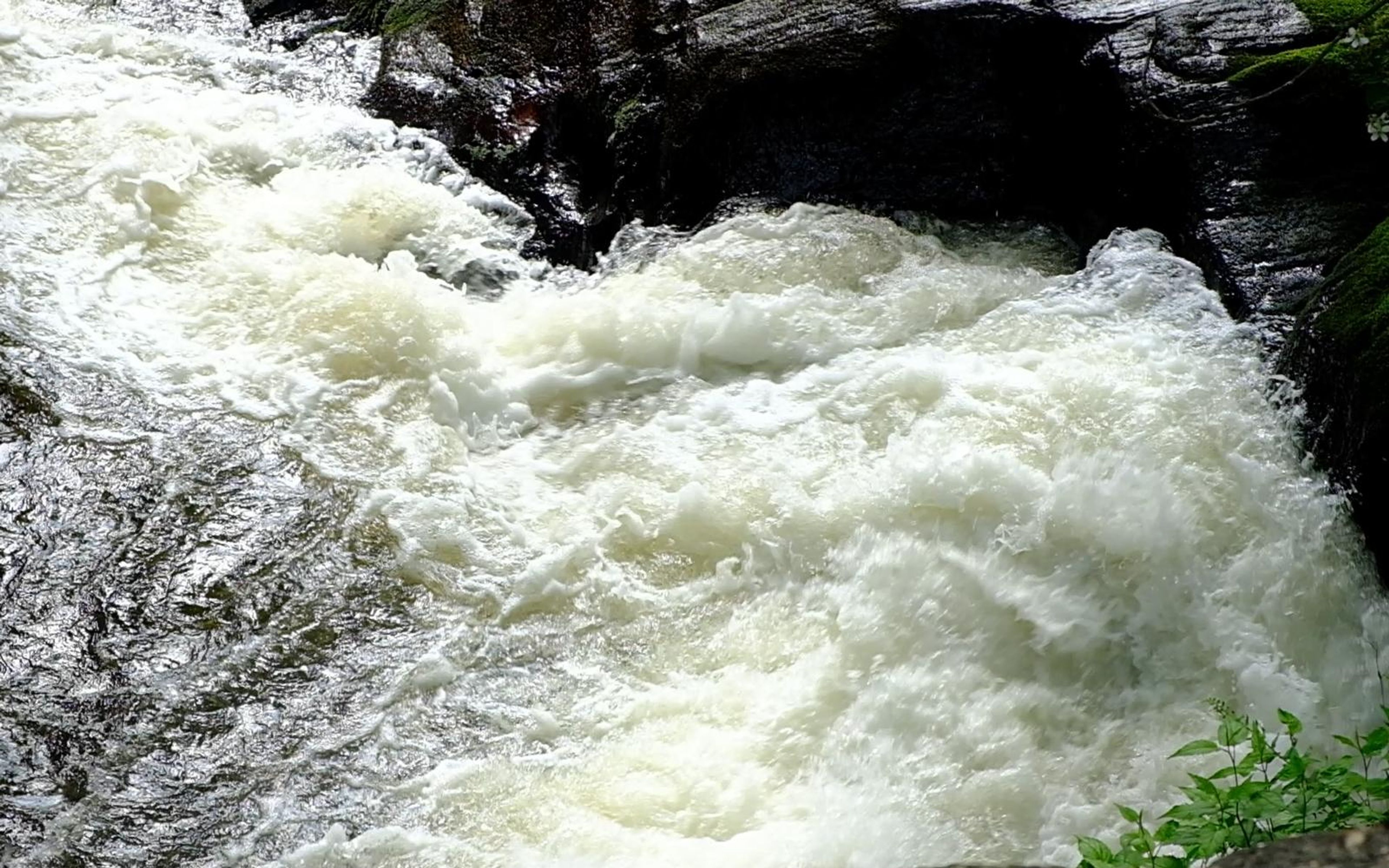 Thick white foam pouring through a dark rock channel in the upper falls