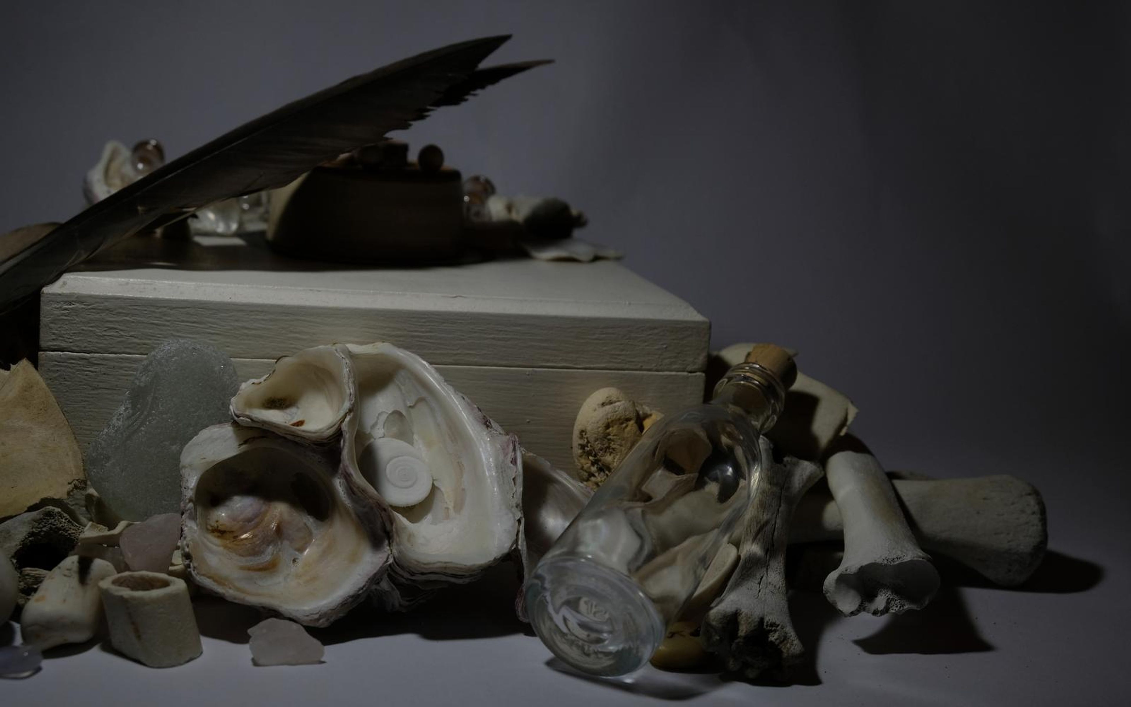 Shells, bones and a small glass bottle arranged in front of a pale box and feather in moody grey light