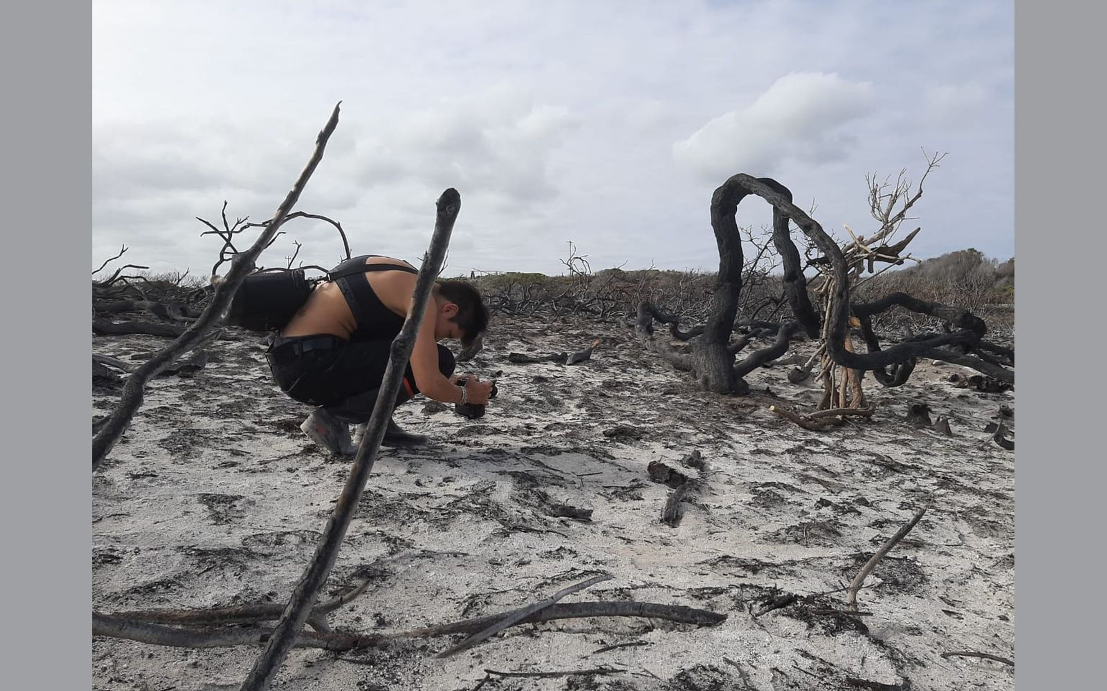 Person crouched low on pale ash photographing the ground between two twisted black branches