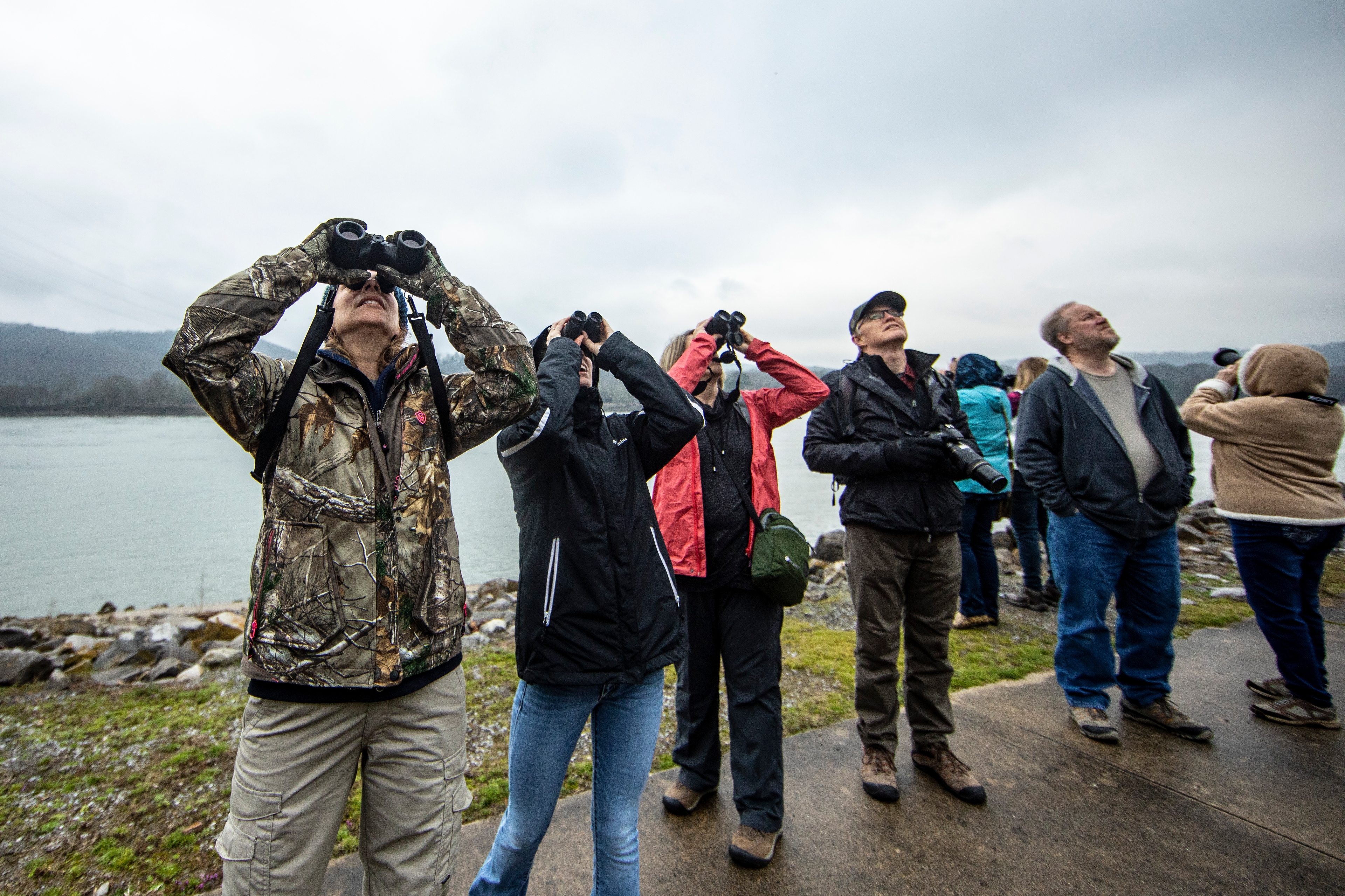 A group of people stands on the bank of a river, looking upwards through binoculars. They are birding in Guntersville State Park.