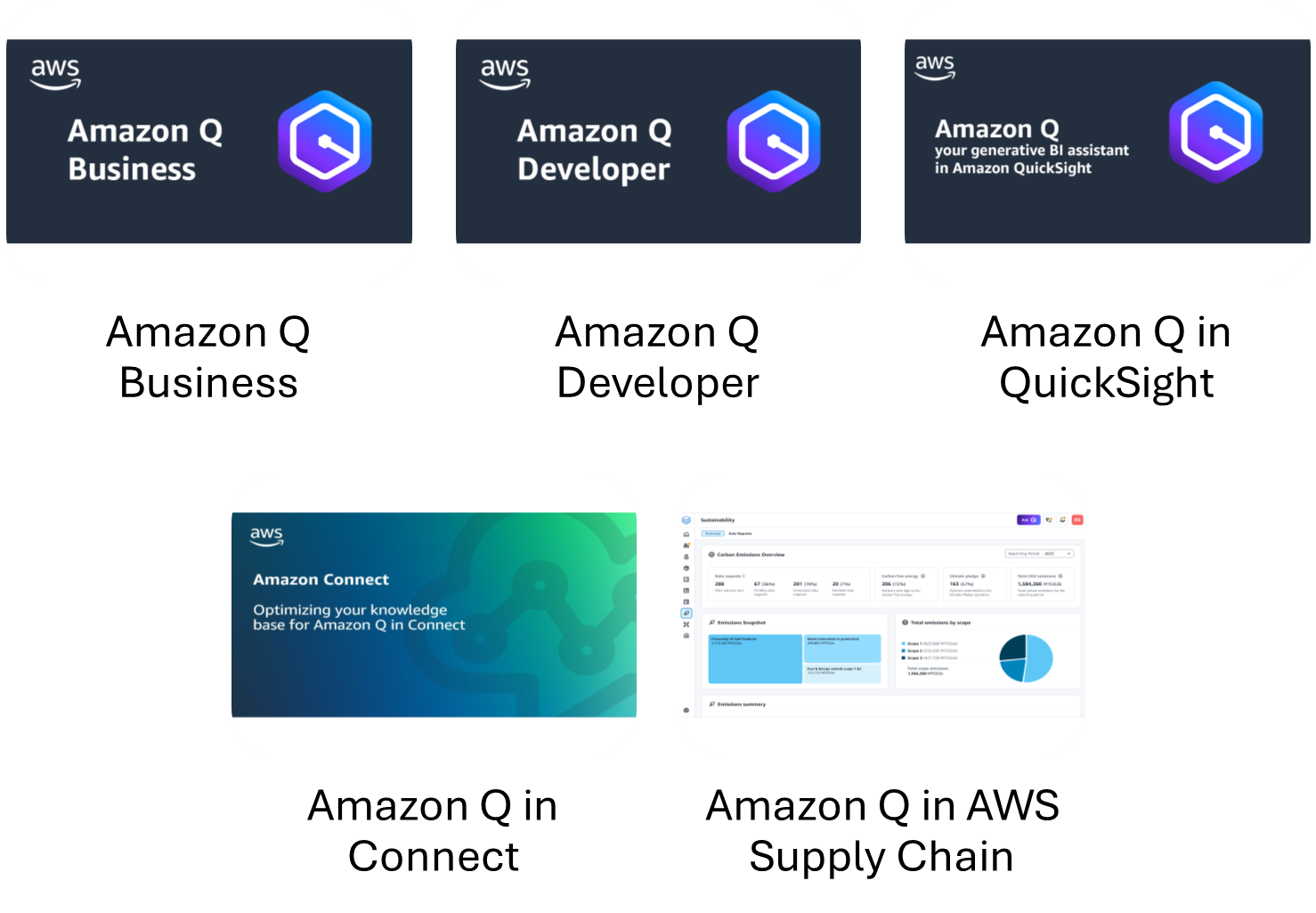 Amazon Q Business  Amazon Q Developer  Amazon Q in QuickSight  Amazon Q in Connect  Amazon Q in AWS Supply Chain