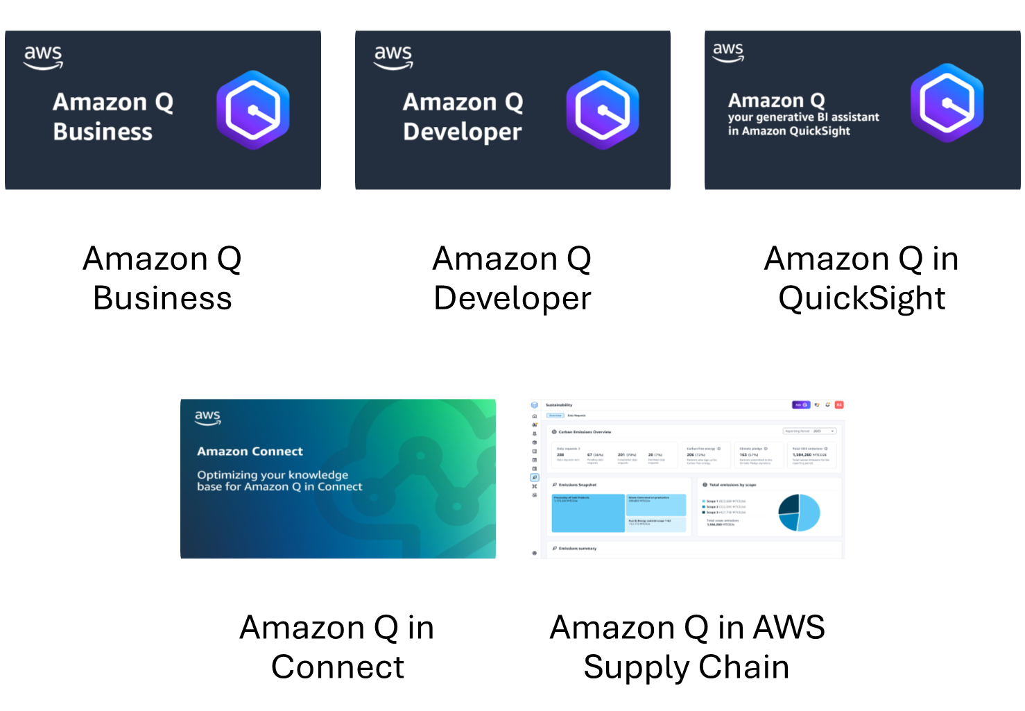 Amazon Q Business Amazon Q Developer Amazon Q in QuickSight Amazon Q in Connect Amazon Q in AWS Supply Chain