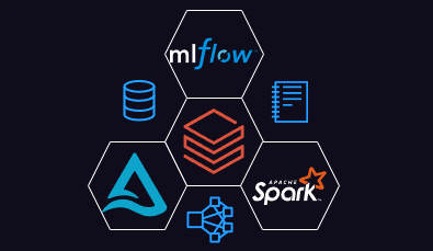 The Evolution of Databricks: From Research Project to Data Powerhouse