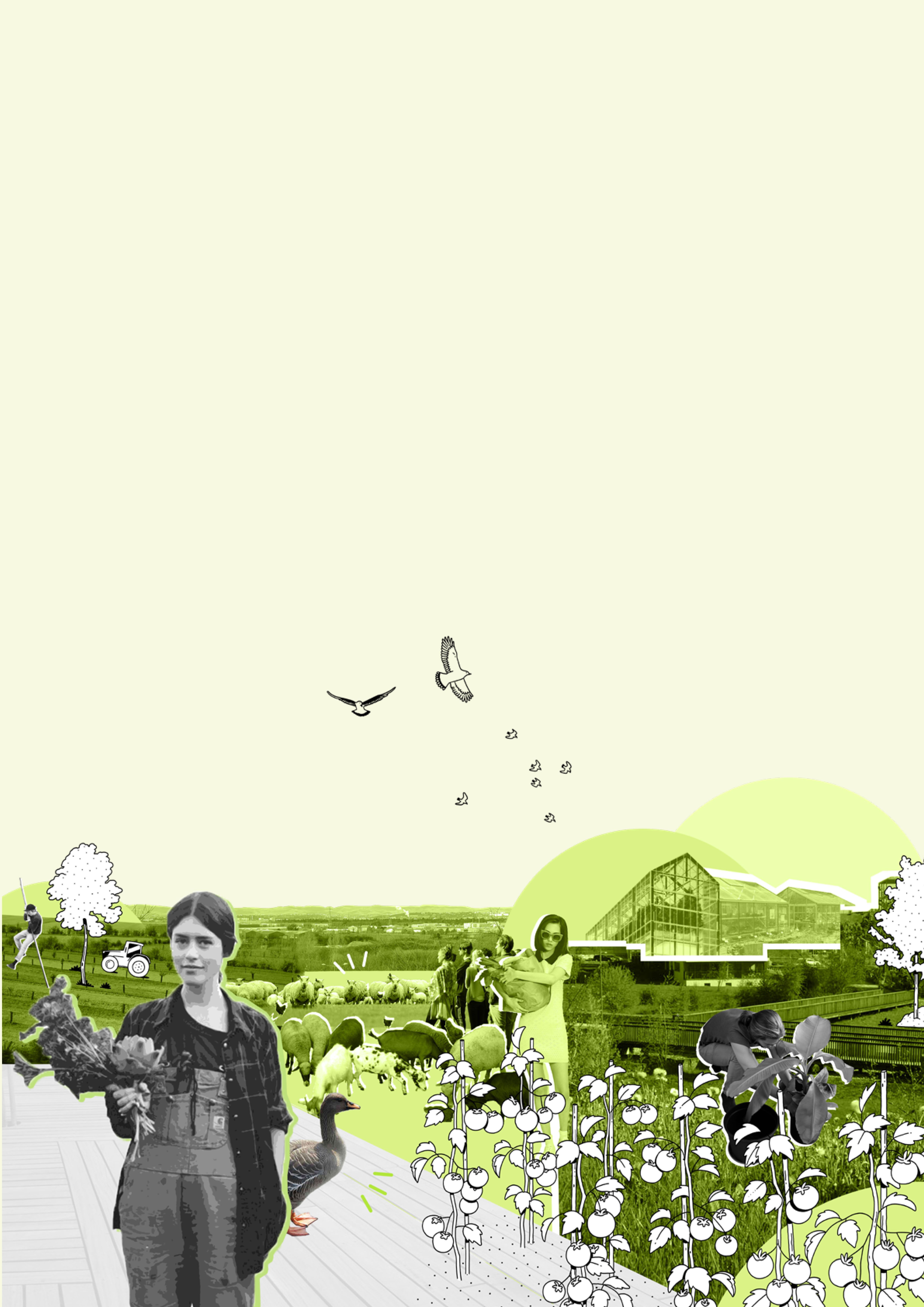 Photomontage, avec G Anastasio. Lyon 2021