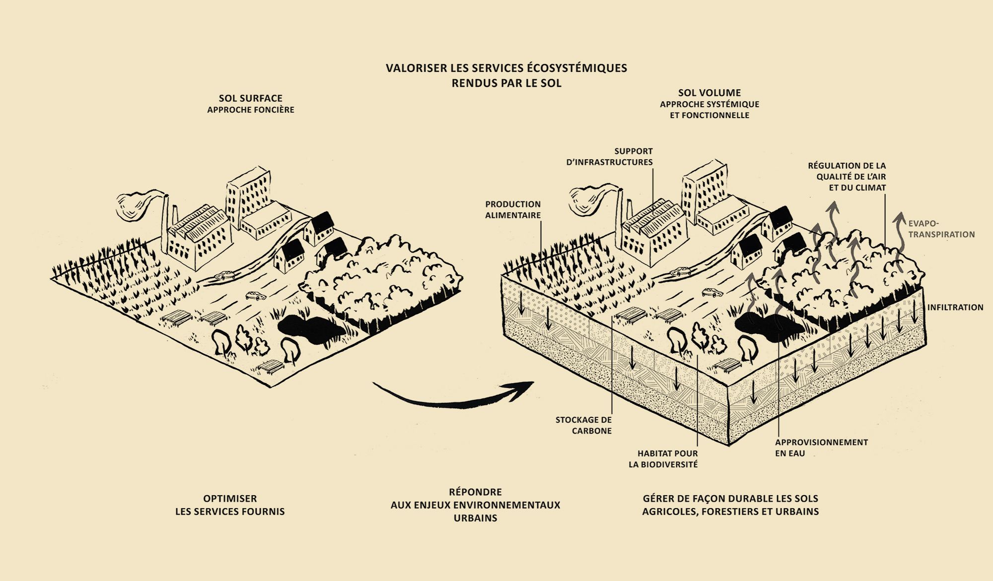 Atelier des territoires : "Mieux aménager avec les Sols Vivants"