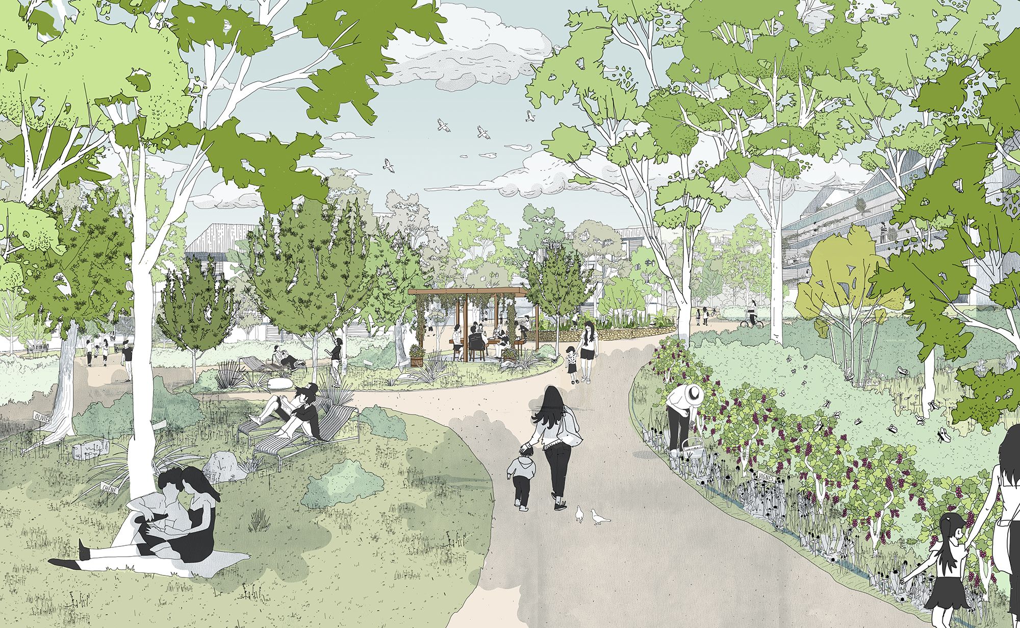 TOULOUSE METROPOLE * ZAC Balma Gramont - Ilot Garrigue