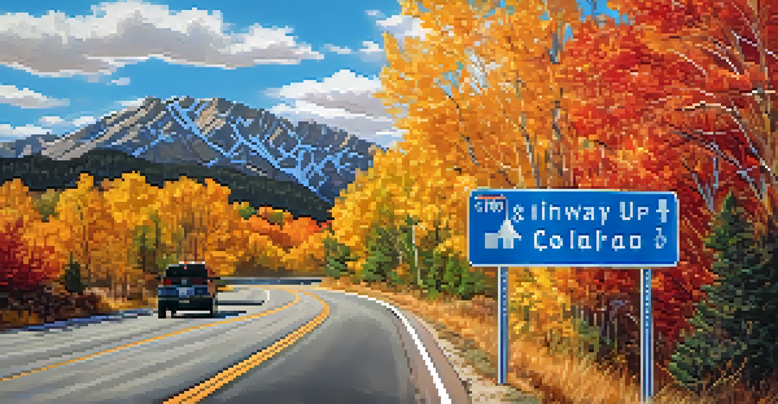 A close-up of a highway sign in Colorado surrounded by autumn leaves and a clear blue sky.