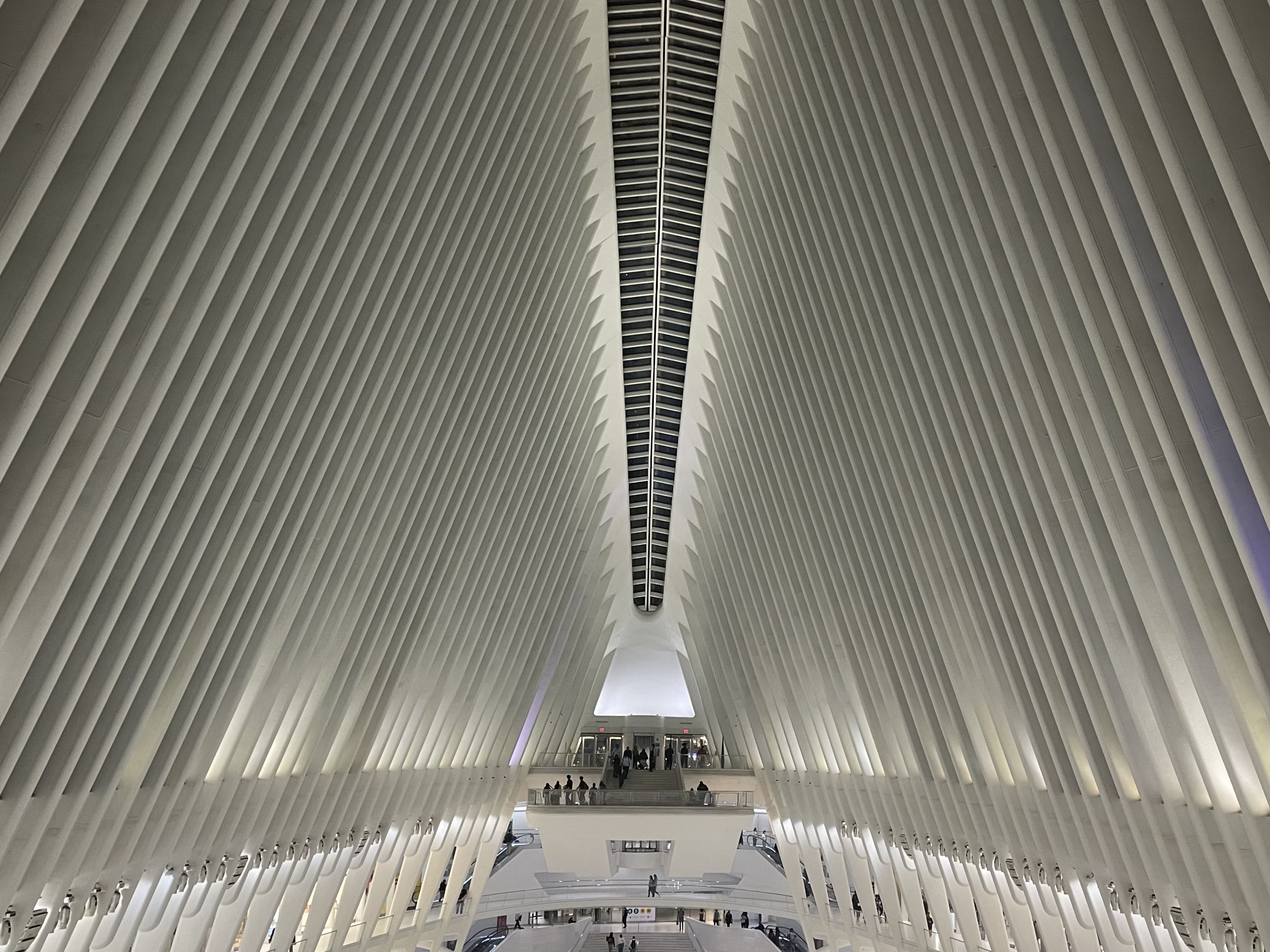 The Oculus: simbolo di rinascita al World Trade Center