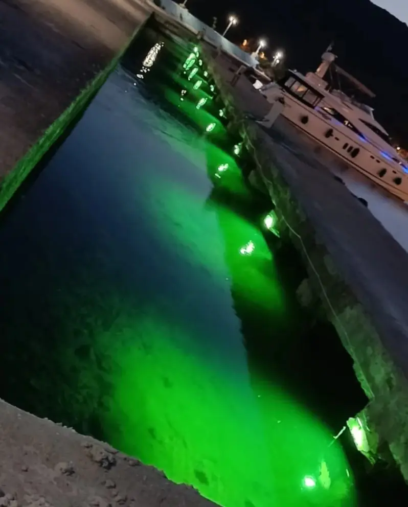 Çalışma Görseli 1