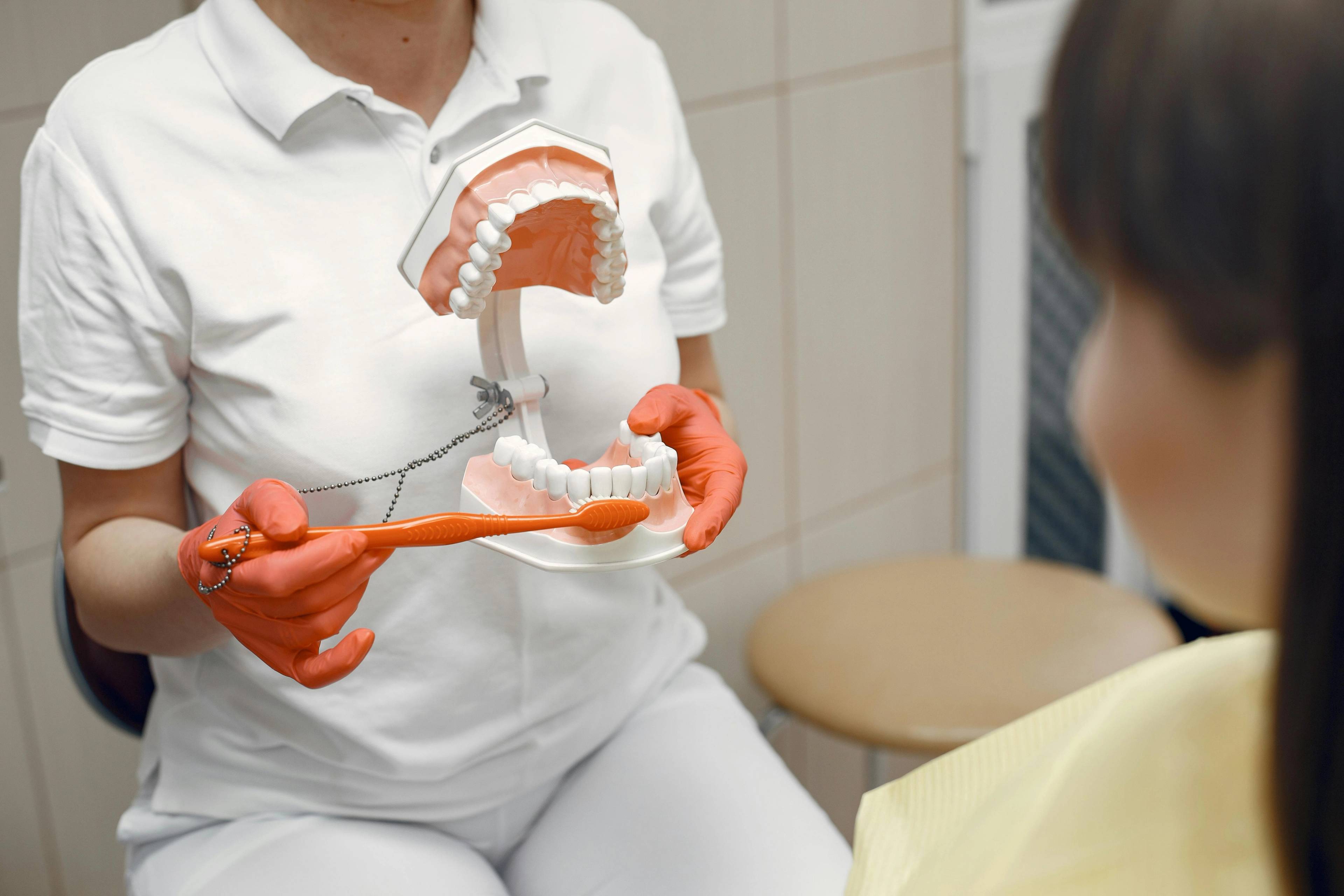 Dental professional using a large tooth model and toothbrush to demonstrate proper brushing techniques during an oral hygiene consultation.