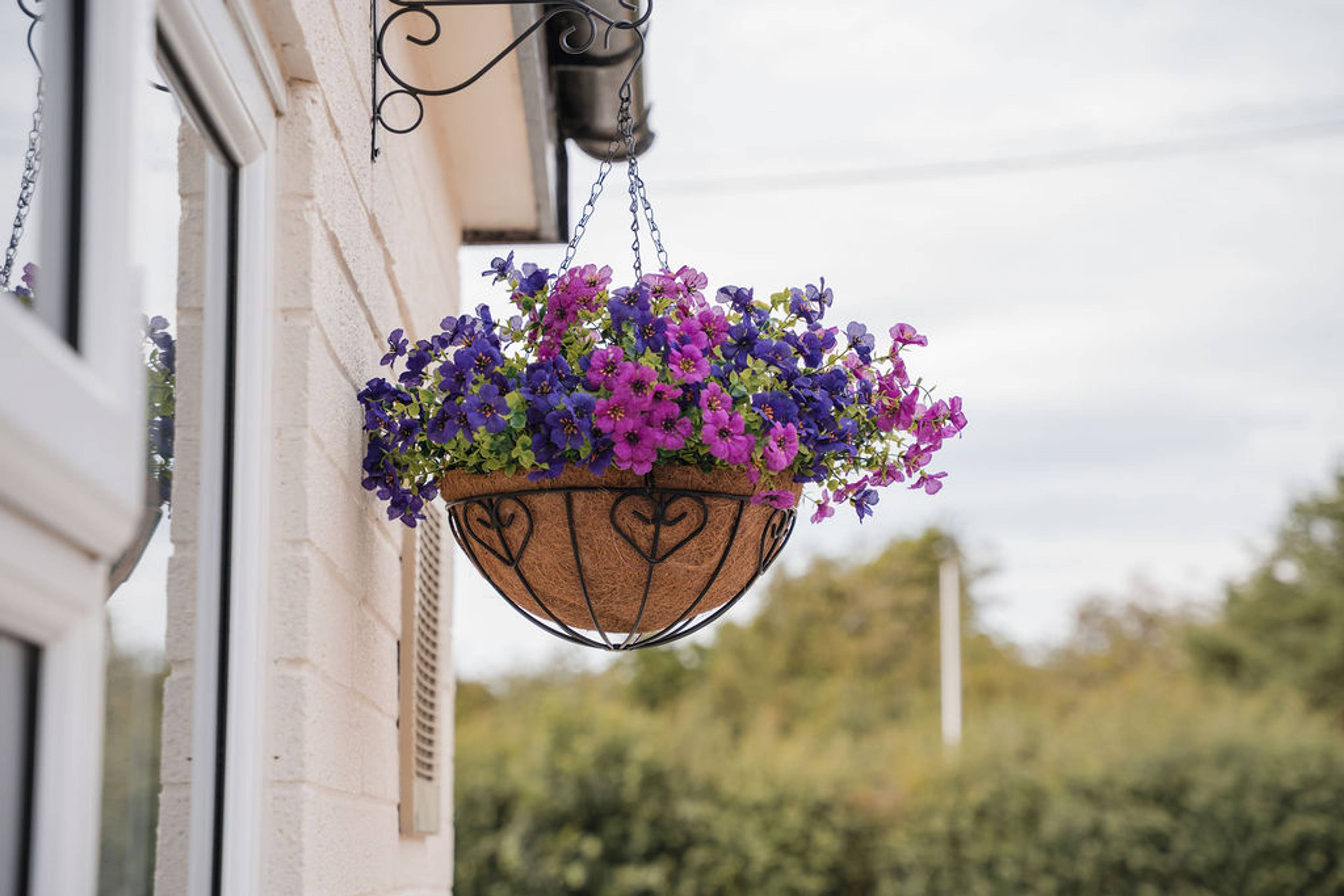 Gentle care for nervous patients in Pontesbury