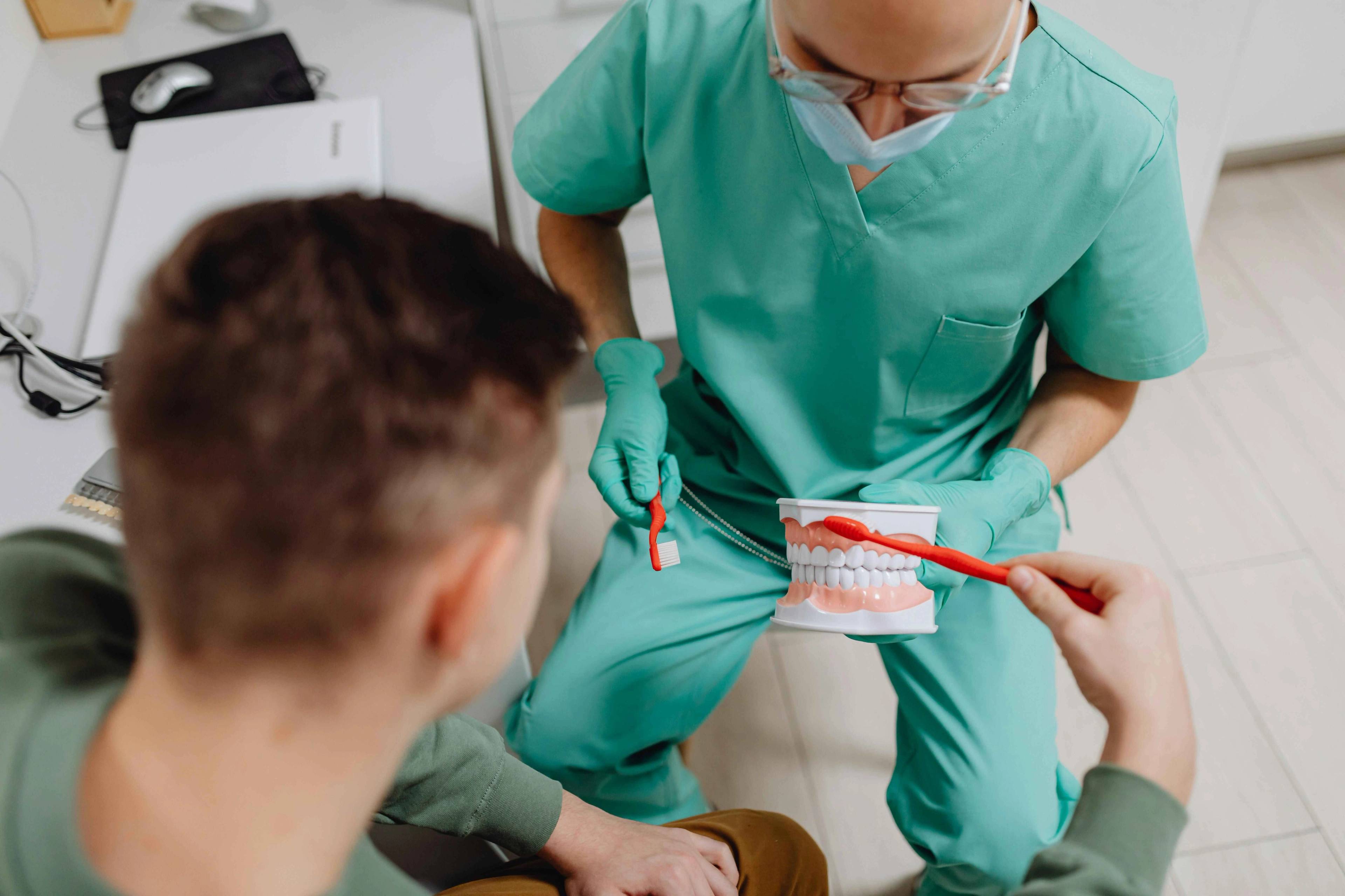 Dental professional demonstrating proper toothbrushing technique using a dental model and toothbrush during an oral hygiene consultation.