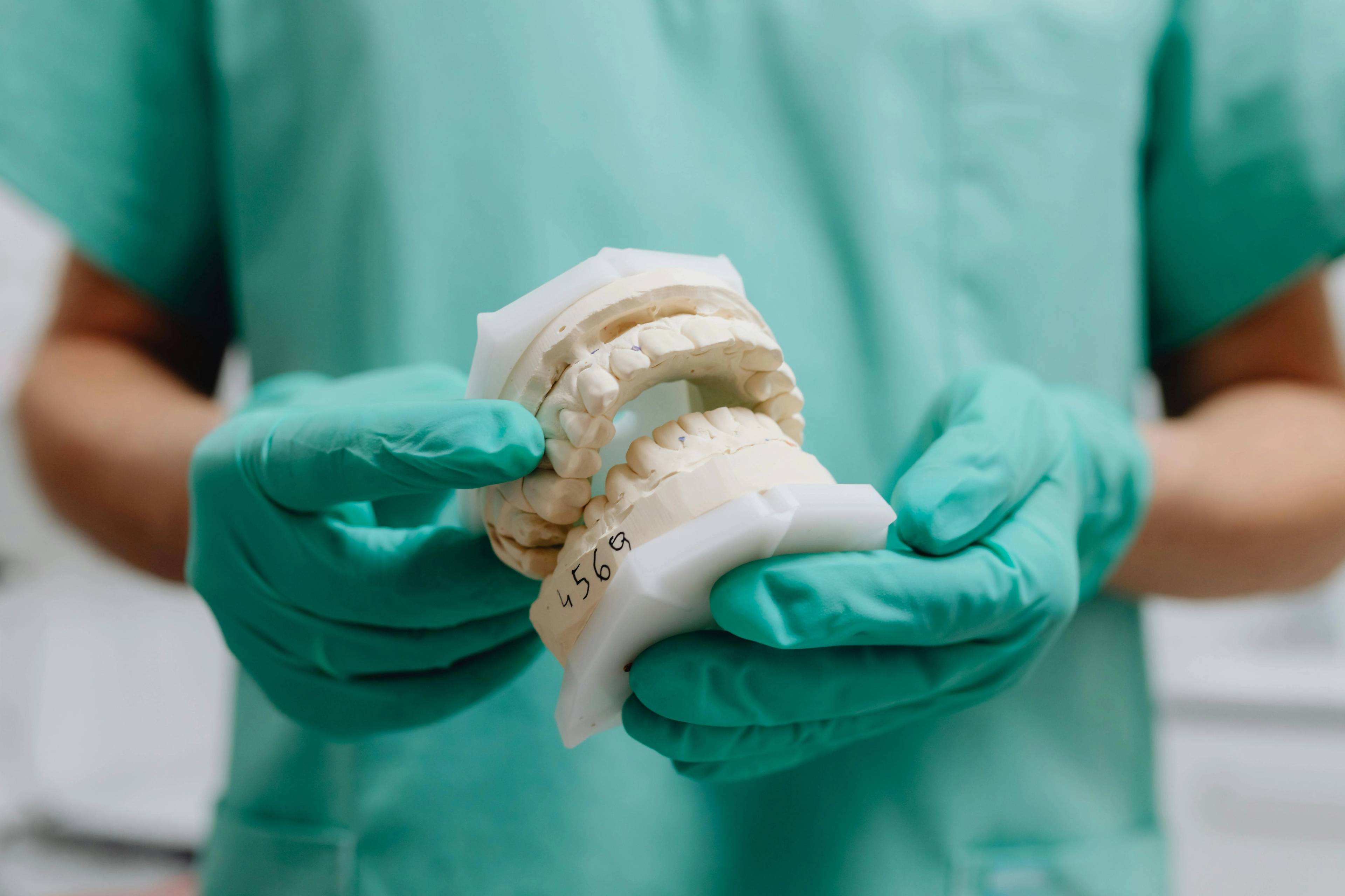 Dental professional holding a model of teeth and gums while explaining oral health or treatment options during a patient consultation.