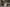 HPP banner image