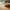 Woodpecker Flooring banner image