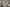 Cornerstone banner image