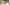 Ask Real Estate banner image