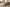 Zofa banner image