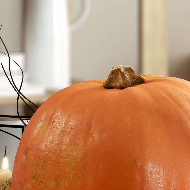 Close Up Pumpkin 3D render