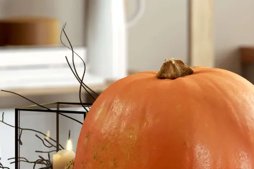 Close Up Pumpkin 3D render