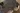 inline image
