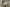 Formica banner image