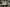 WilsonArt banner image